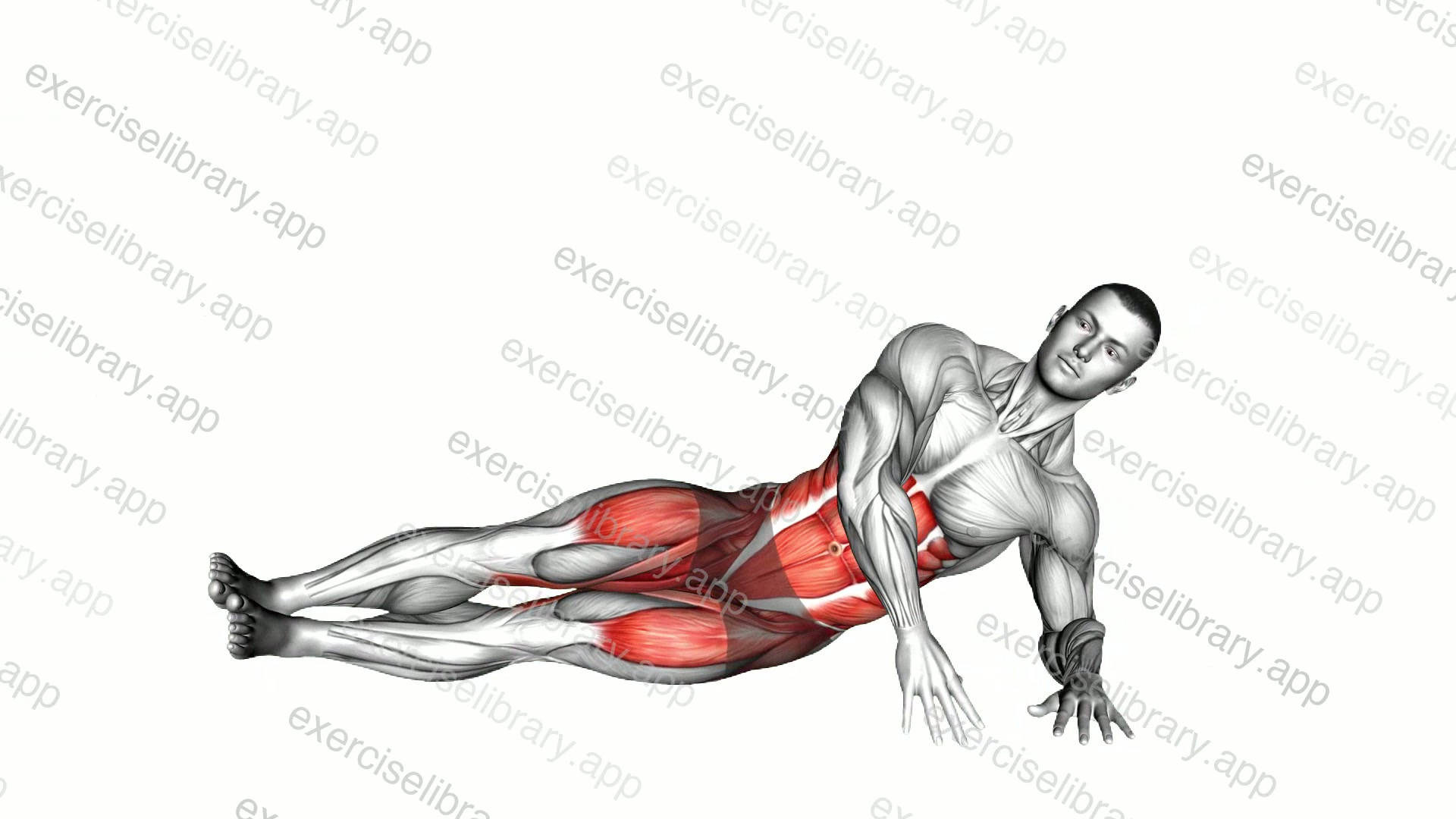 Rotate and Leg Lift Crunch demonstration
