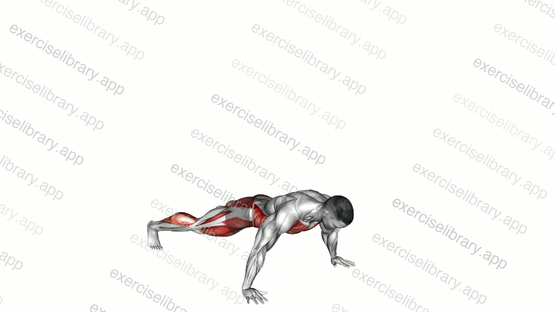 Plank Walk Squat demonstration