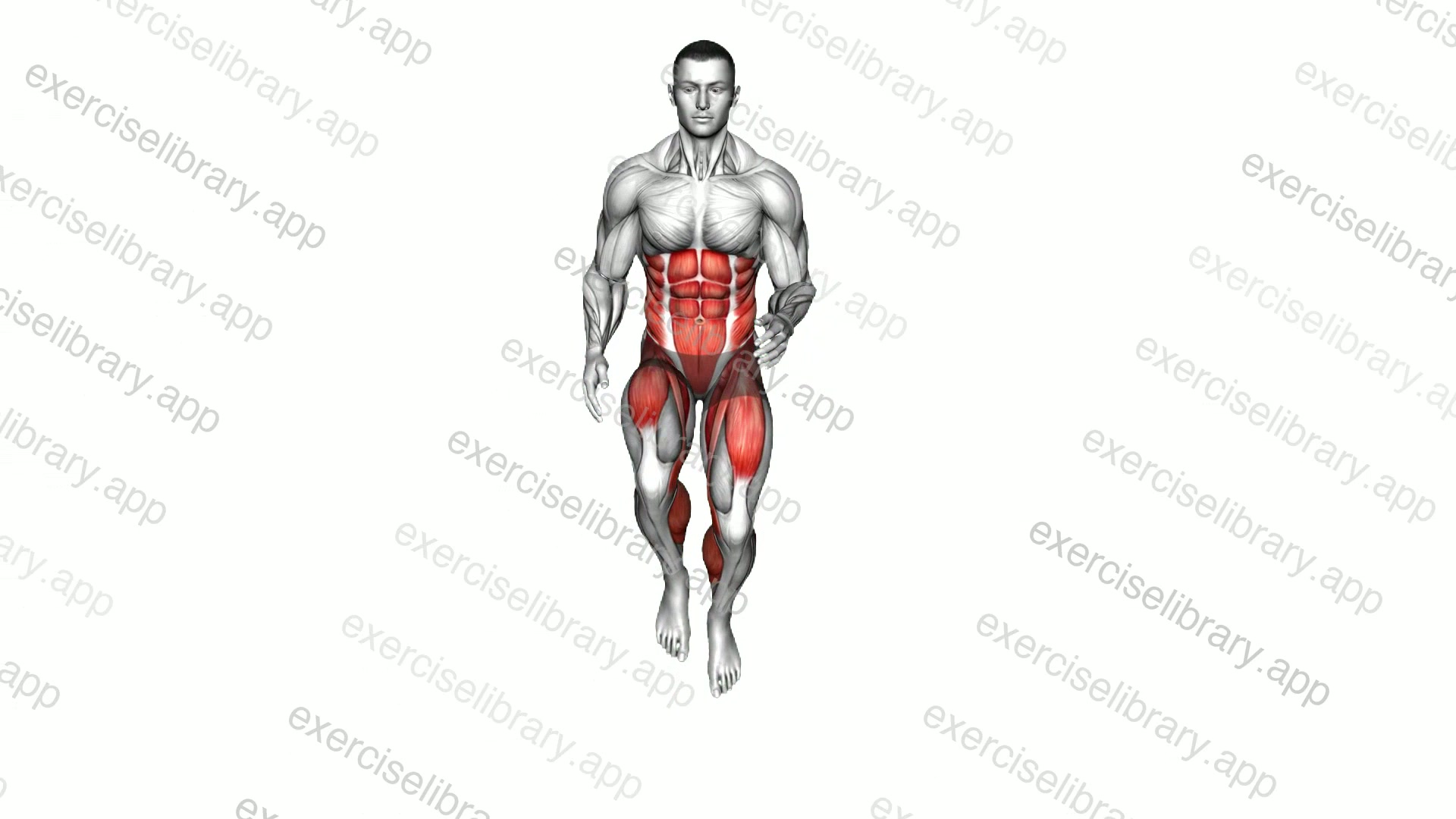 Side Shuffle High Knee demonstration