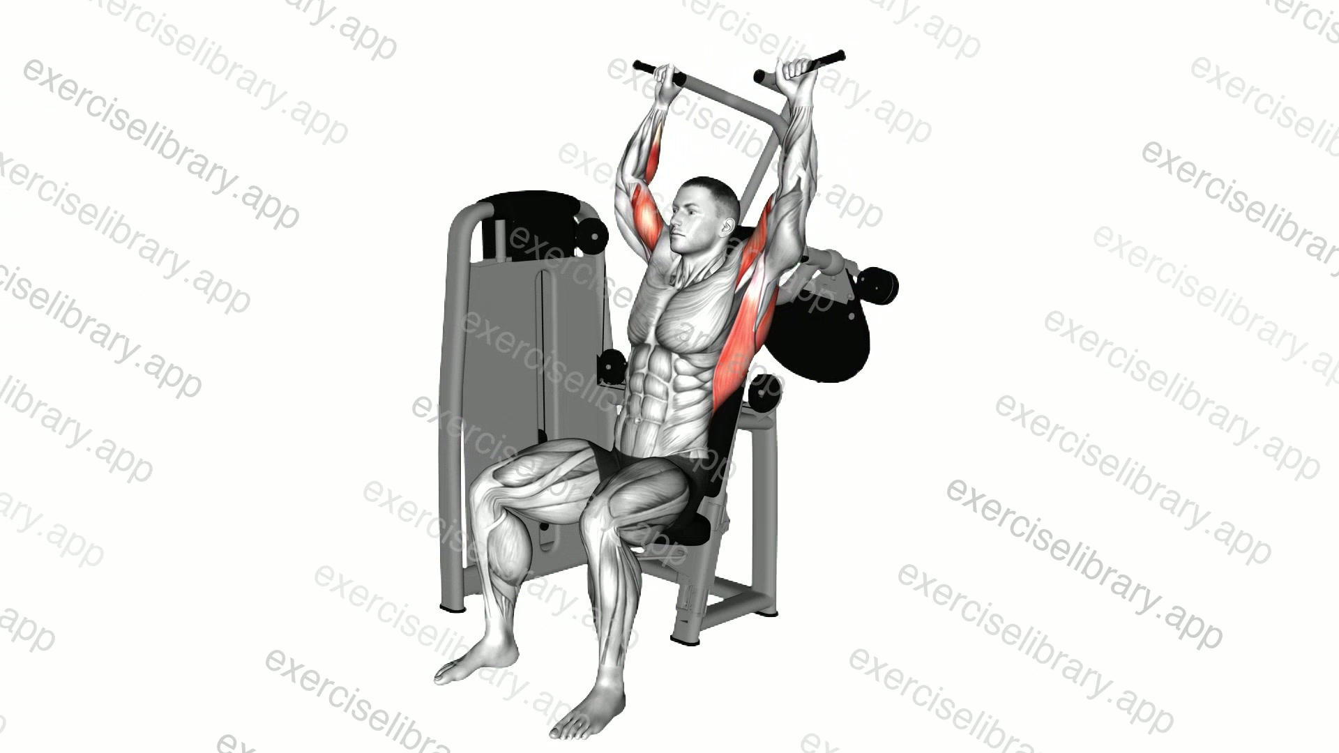 Lever Cross Lat Pulldown demonstration