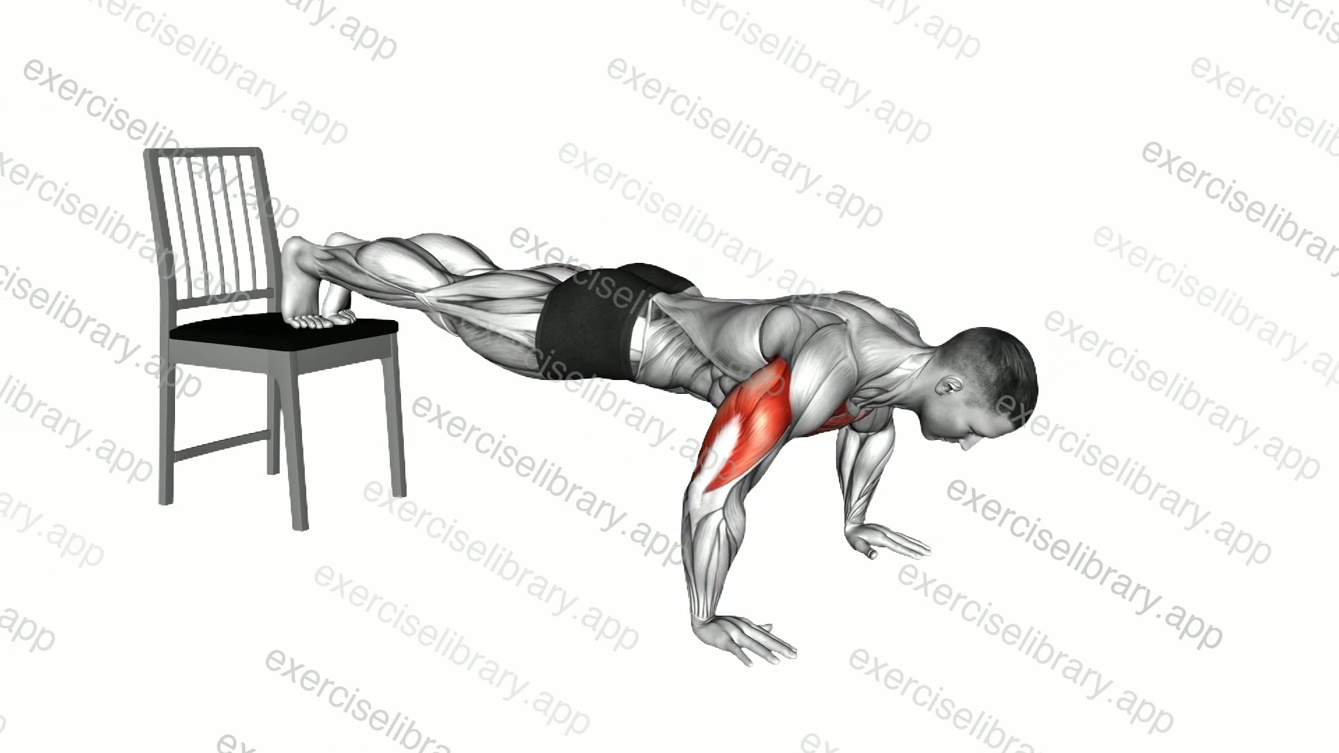 Decline Push-up with Chair demonstration