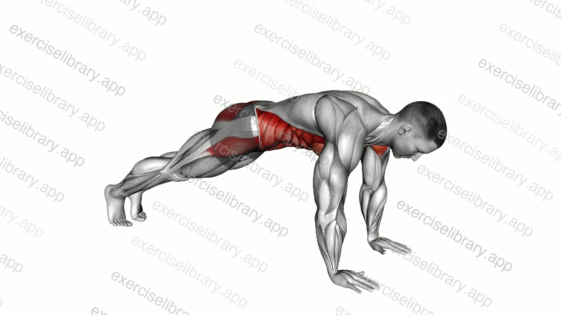 Protraction Plank demonstration