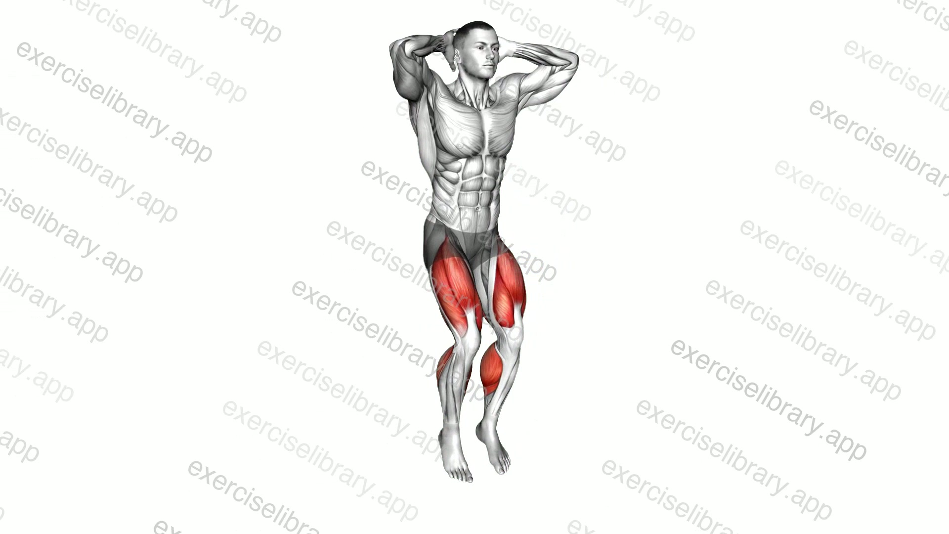 Prisoner High Knee demonstration