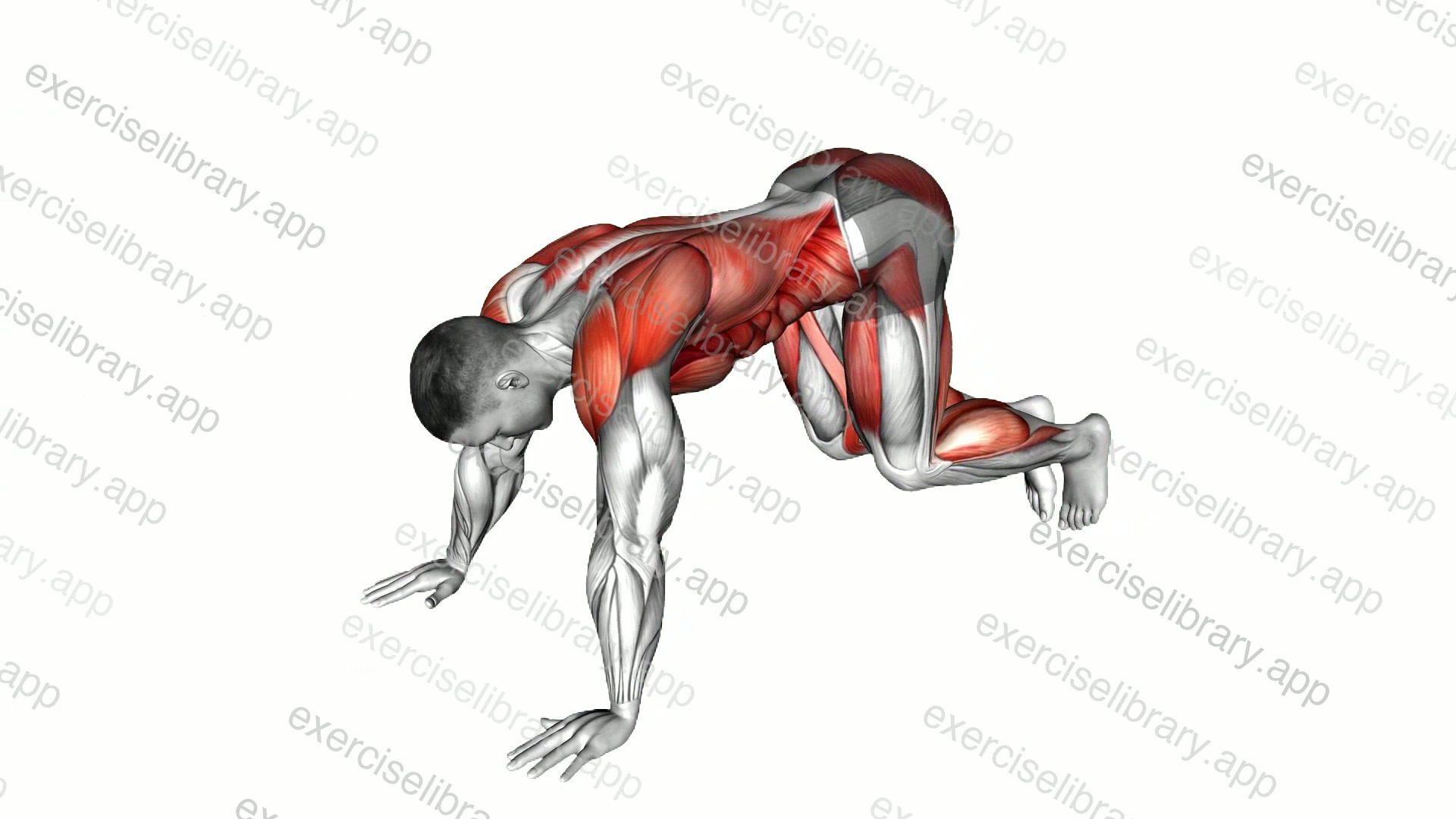 Plank Power Tuck demonstration