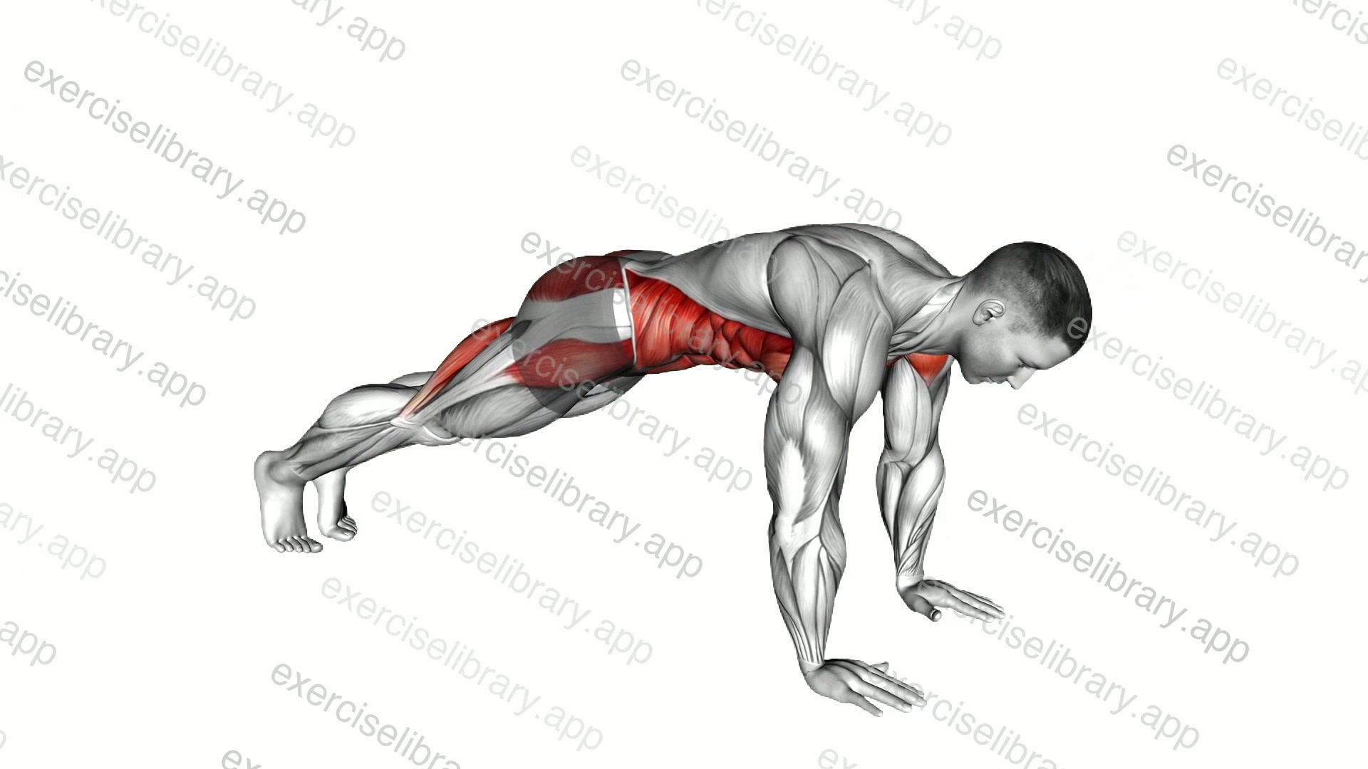 Protraction Plank Jack demonstration