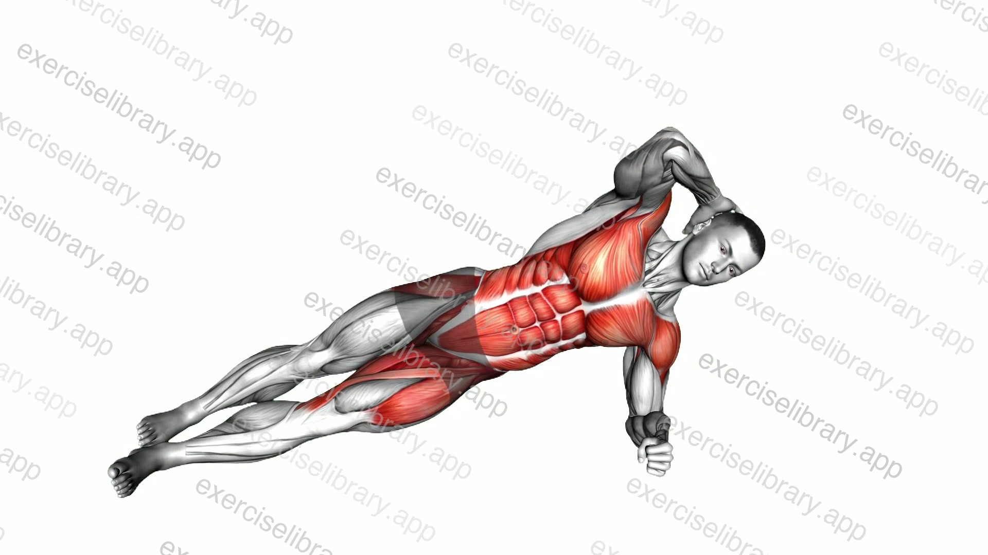 Side Plank Side Crunch demonstration