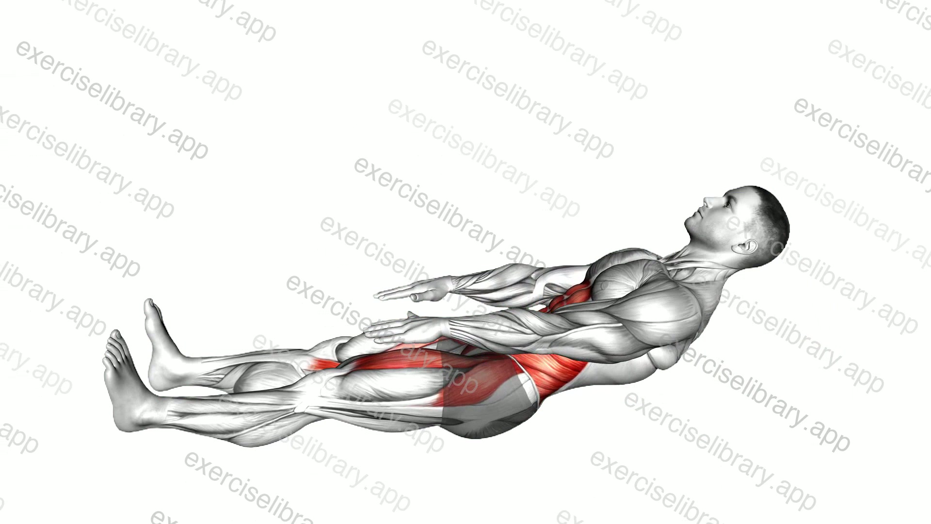 Straight Legs Sit-up Toe Tap demonstration