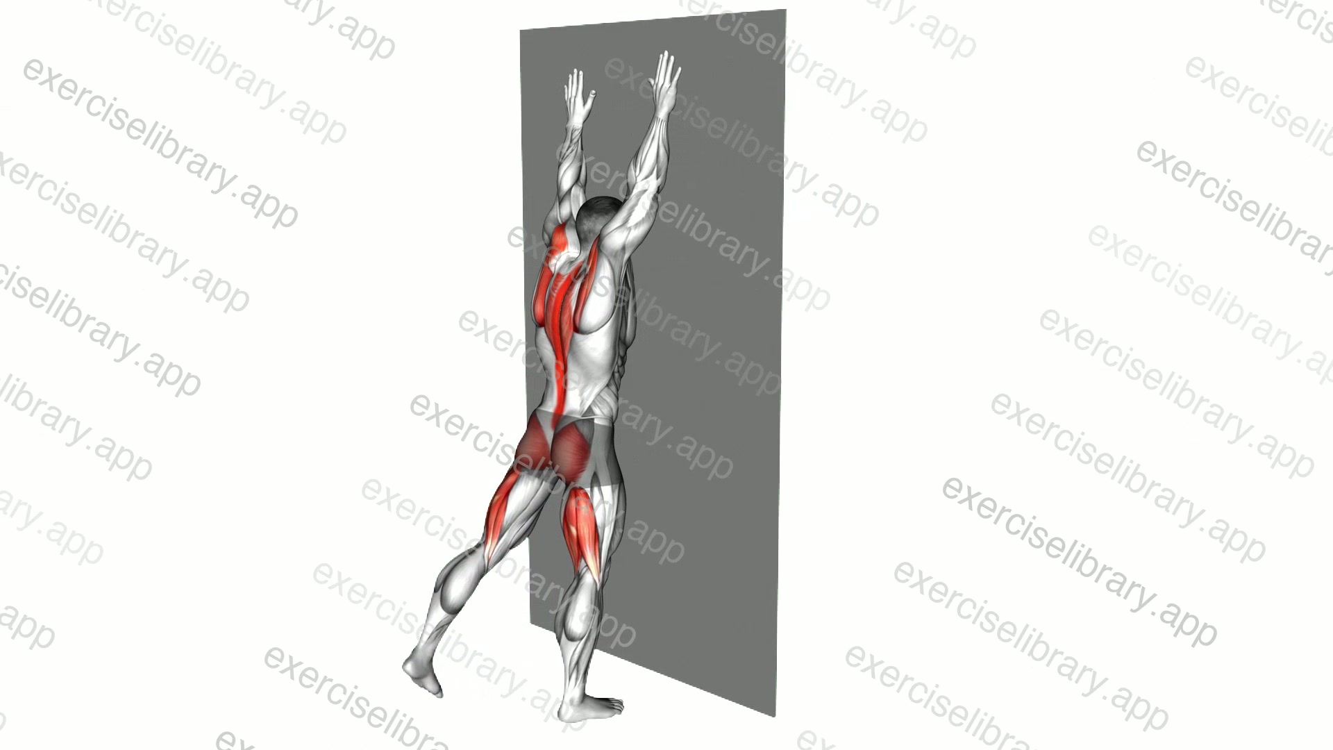 Opposite Arm and Leg Raise against Wall demonstration