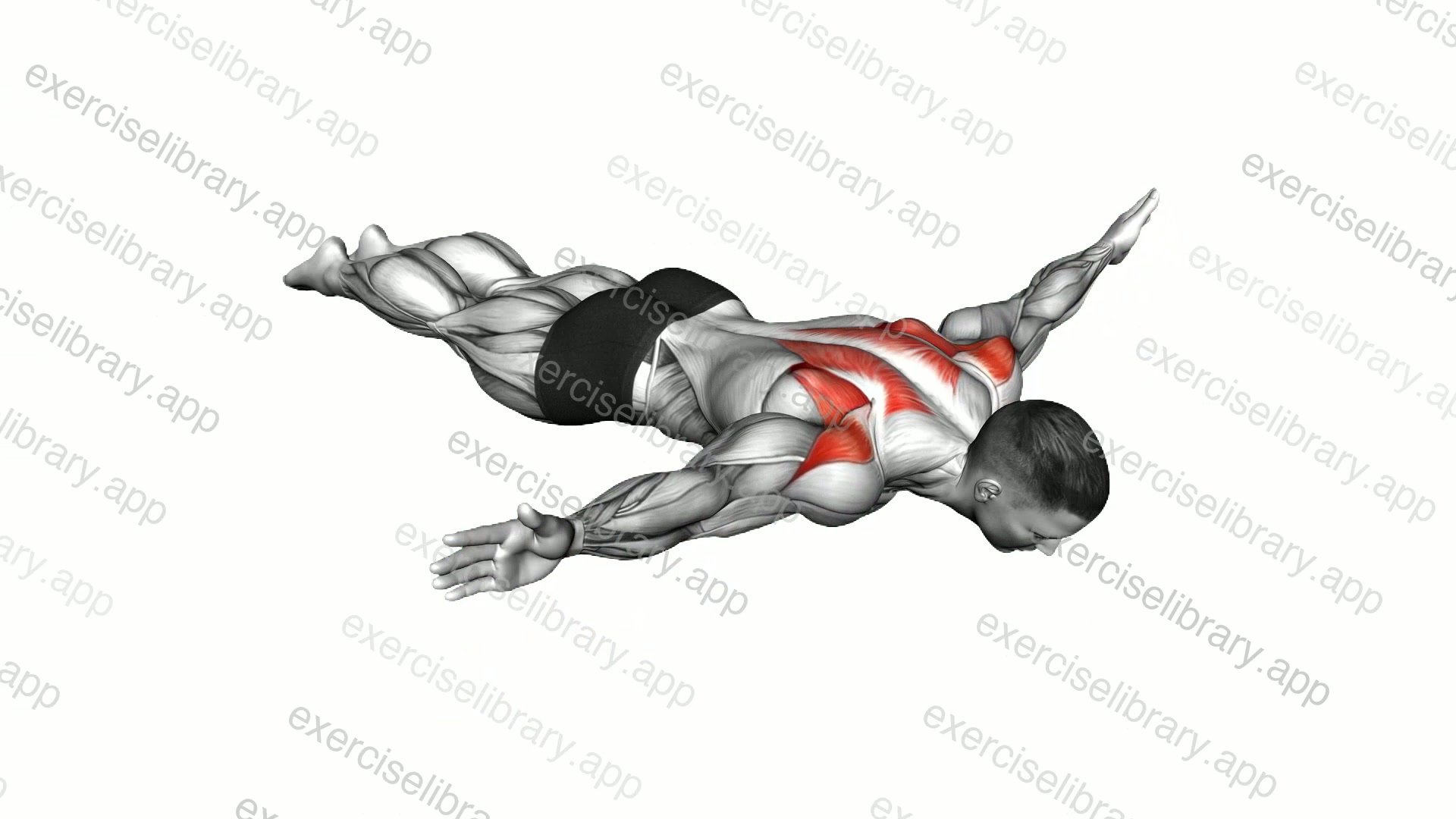 Floor T Raise demonstration