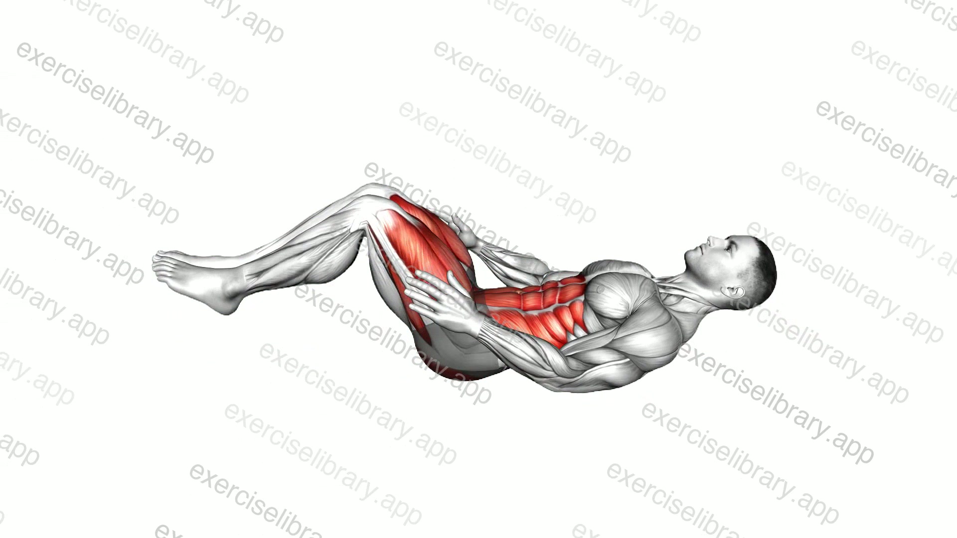 Lying Lower Back Knee to Chest demonstration