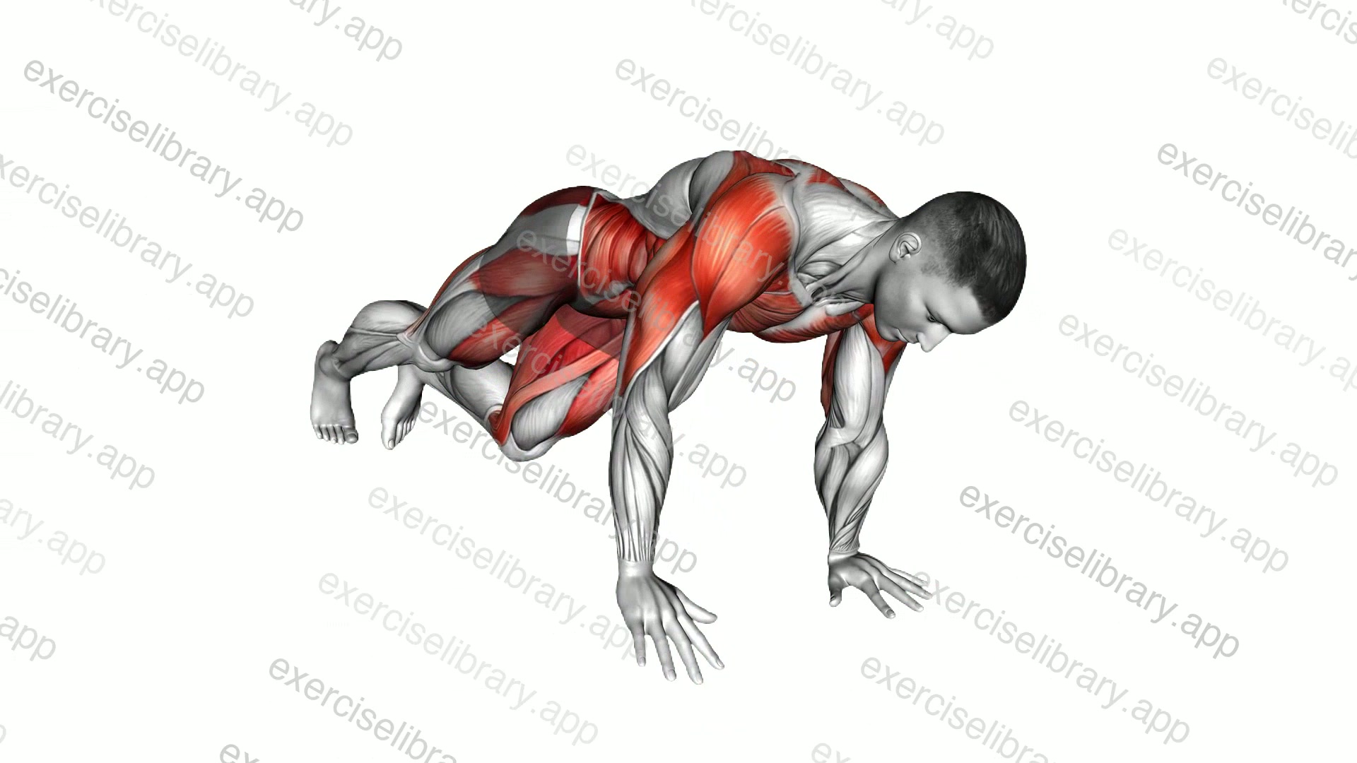 Planked Side Toe Tap demonstration