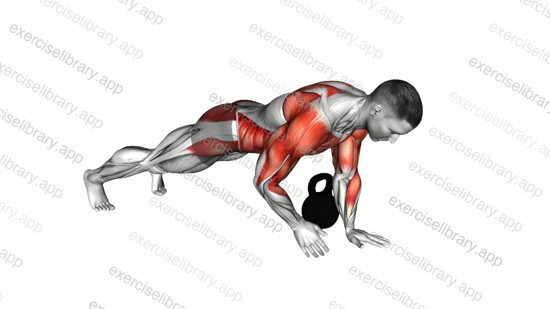 Kettlebell Plank Pass Through demonstration