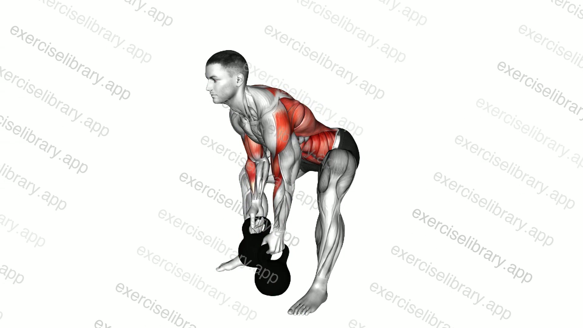 Kettlebell Gorilla Row demonstration