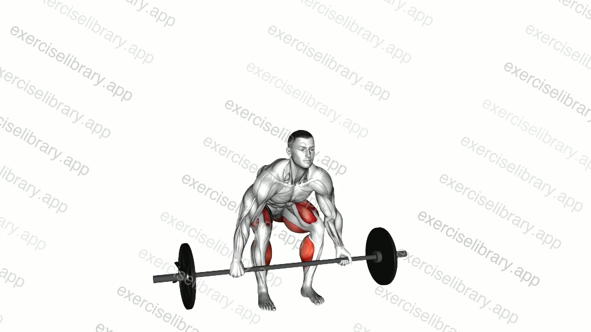 Barbell Mixed grip Deadlift demonstration