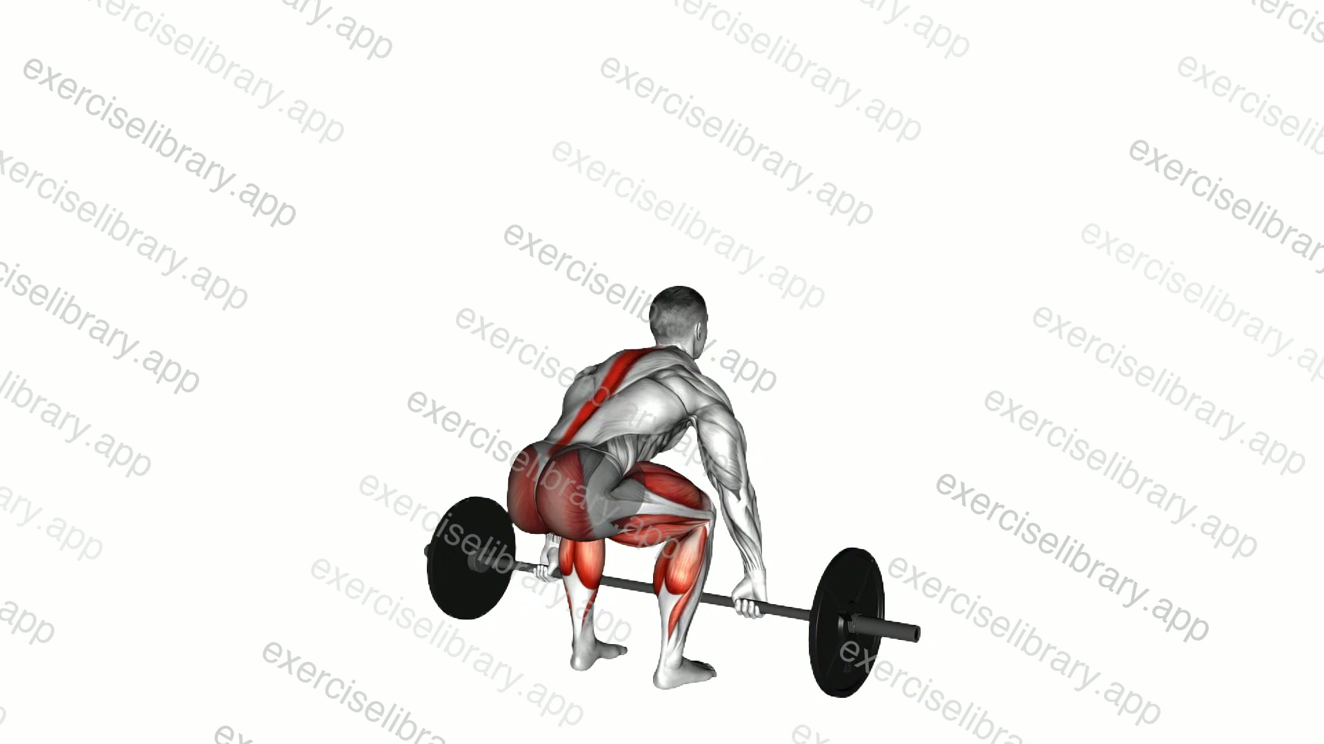 Barbell Hook grip Deadlift demonstration