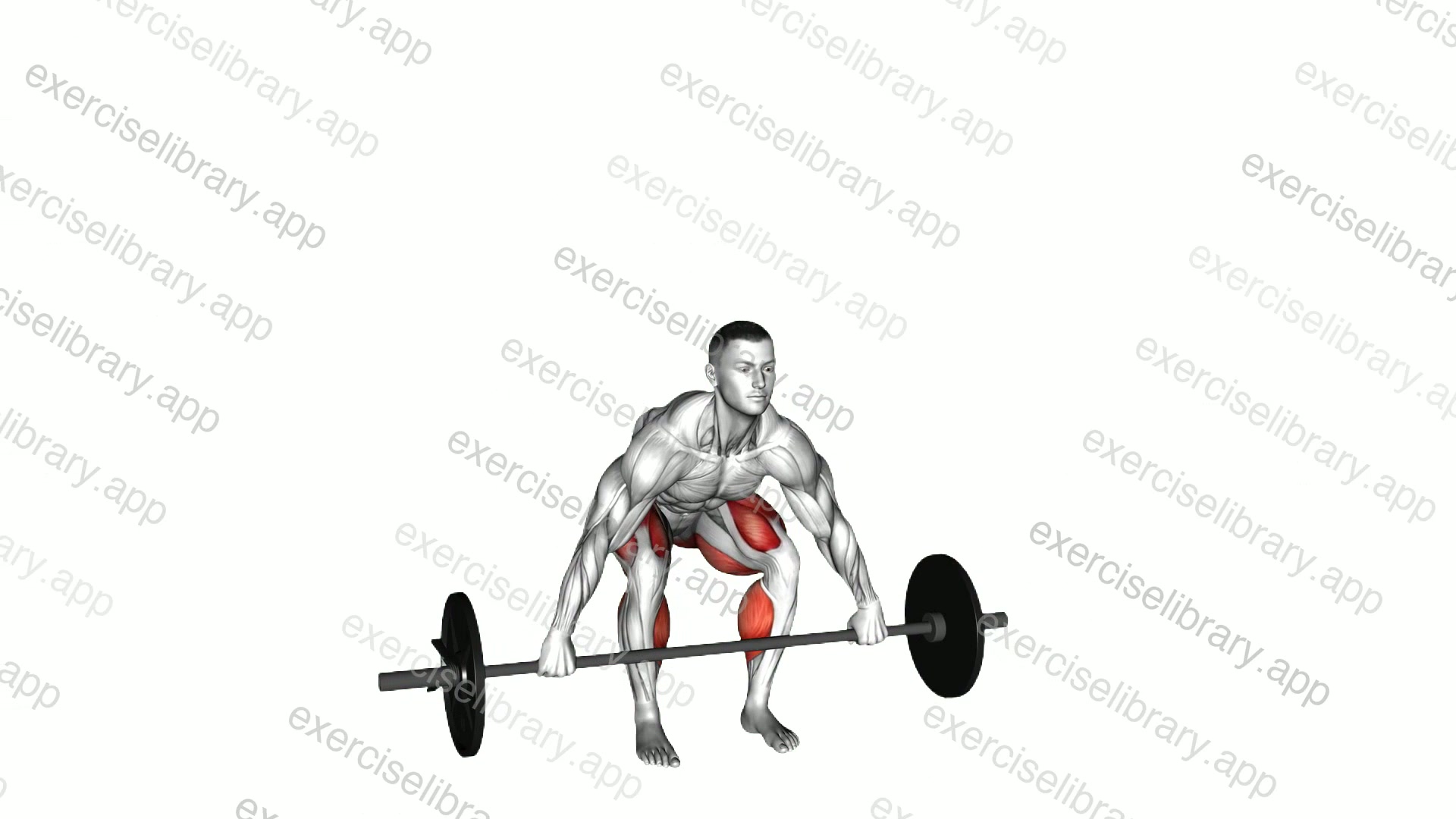 Barbell Snatch grip Deadlift demonstration