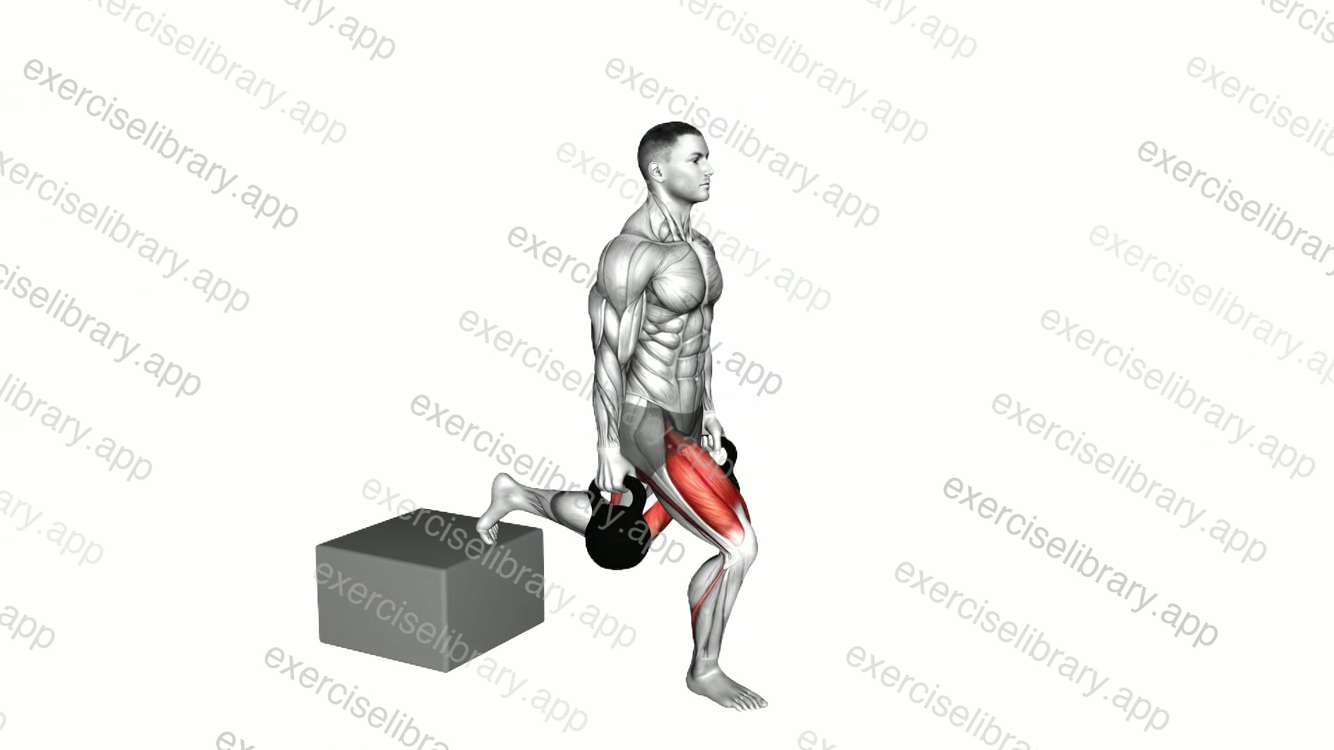 Kettlebell Single Leg Split Squat with Low Box demonstration