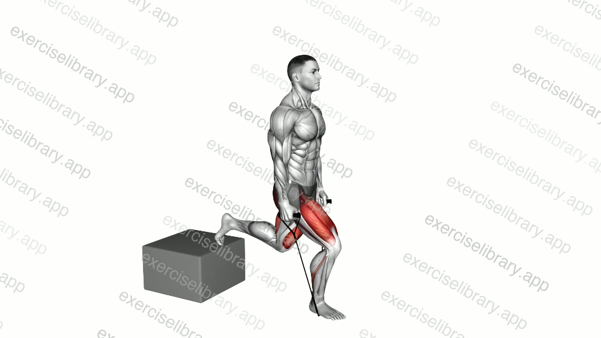 Band Single Leg Split Squat with Low Box demonstration