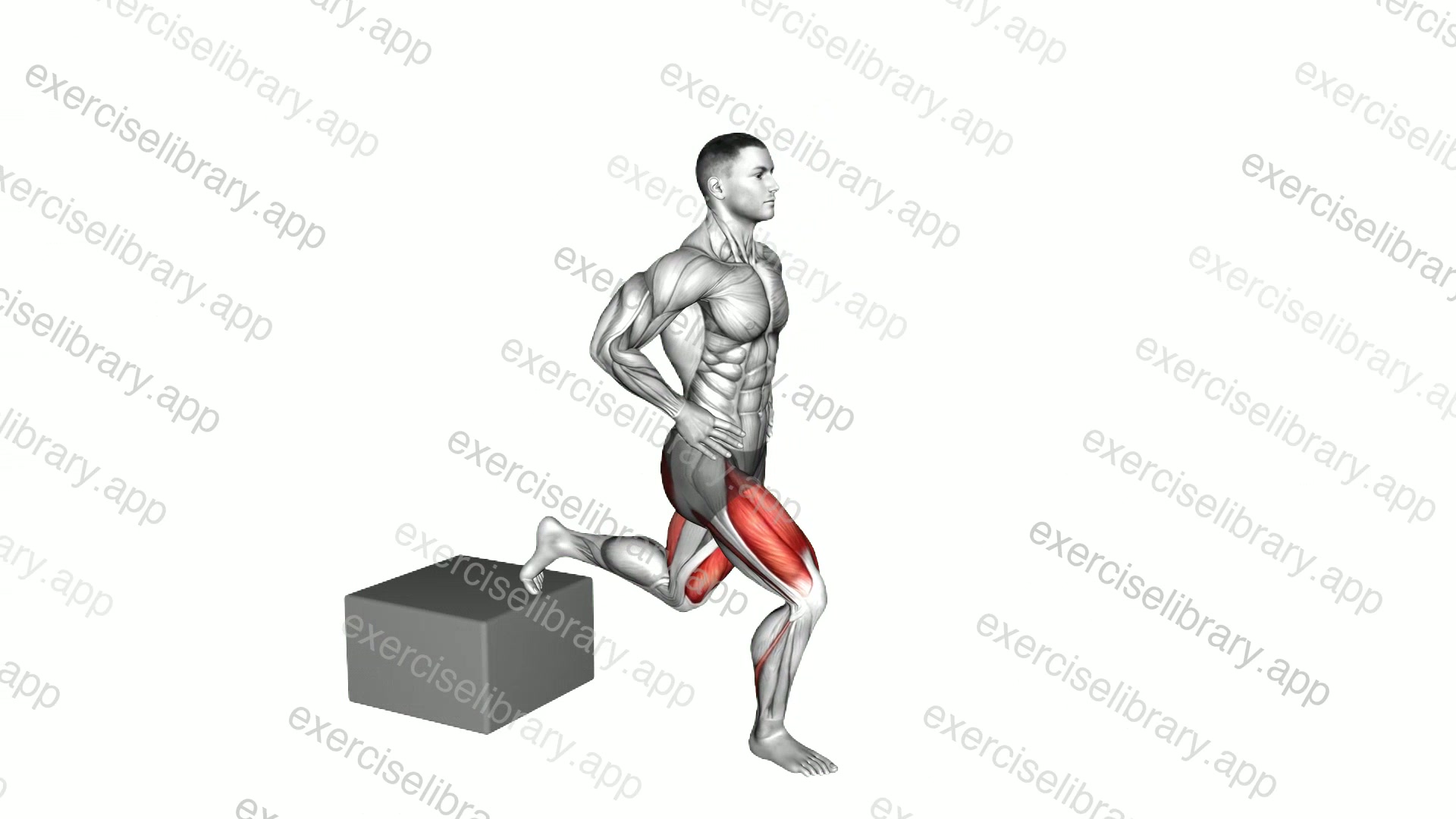 Split Squat with Low Box demonstration