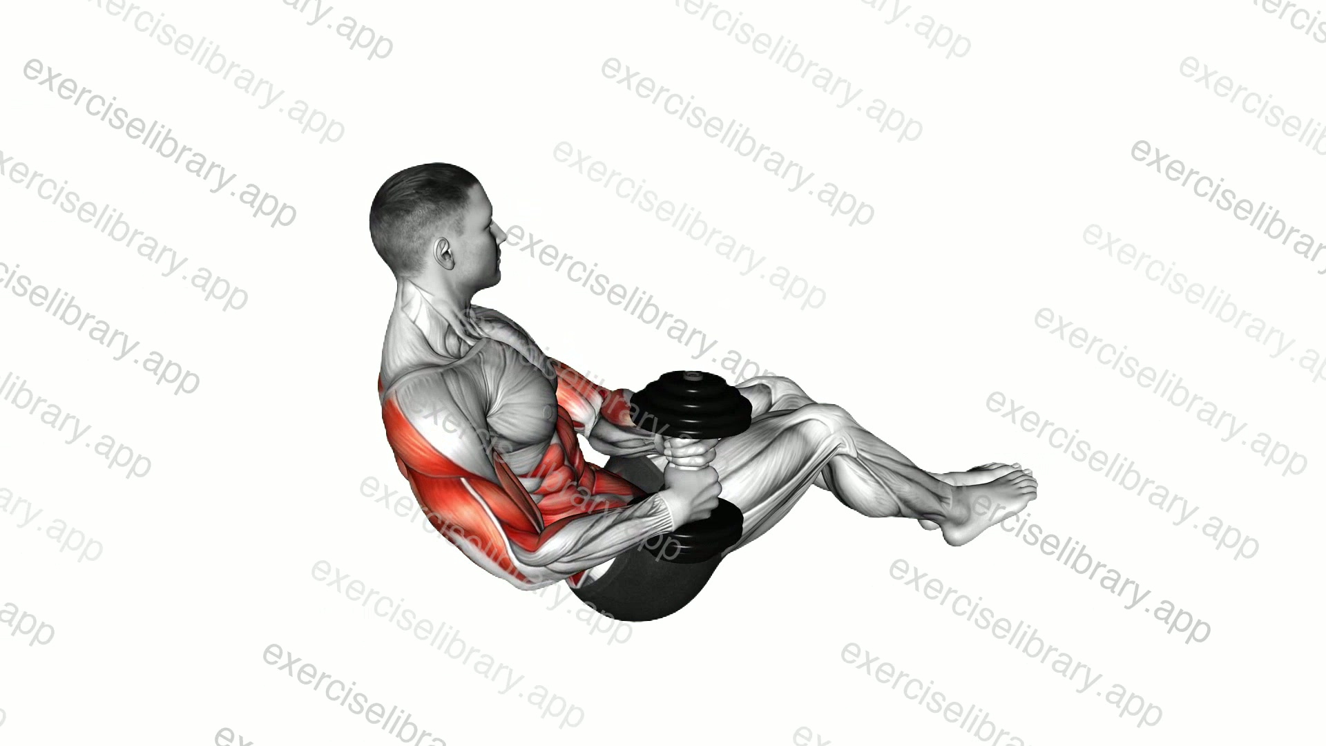 Dumbbell Russian Twist Boat Row demonstration