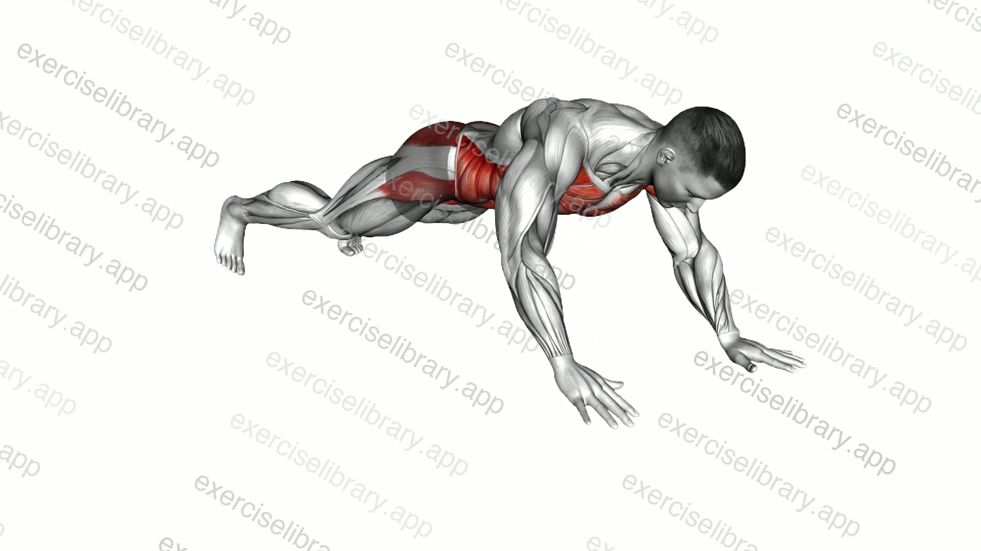 Star Plank demonstration