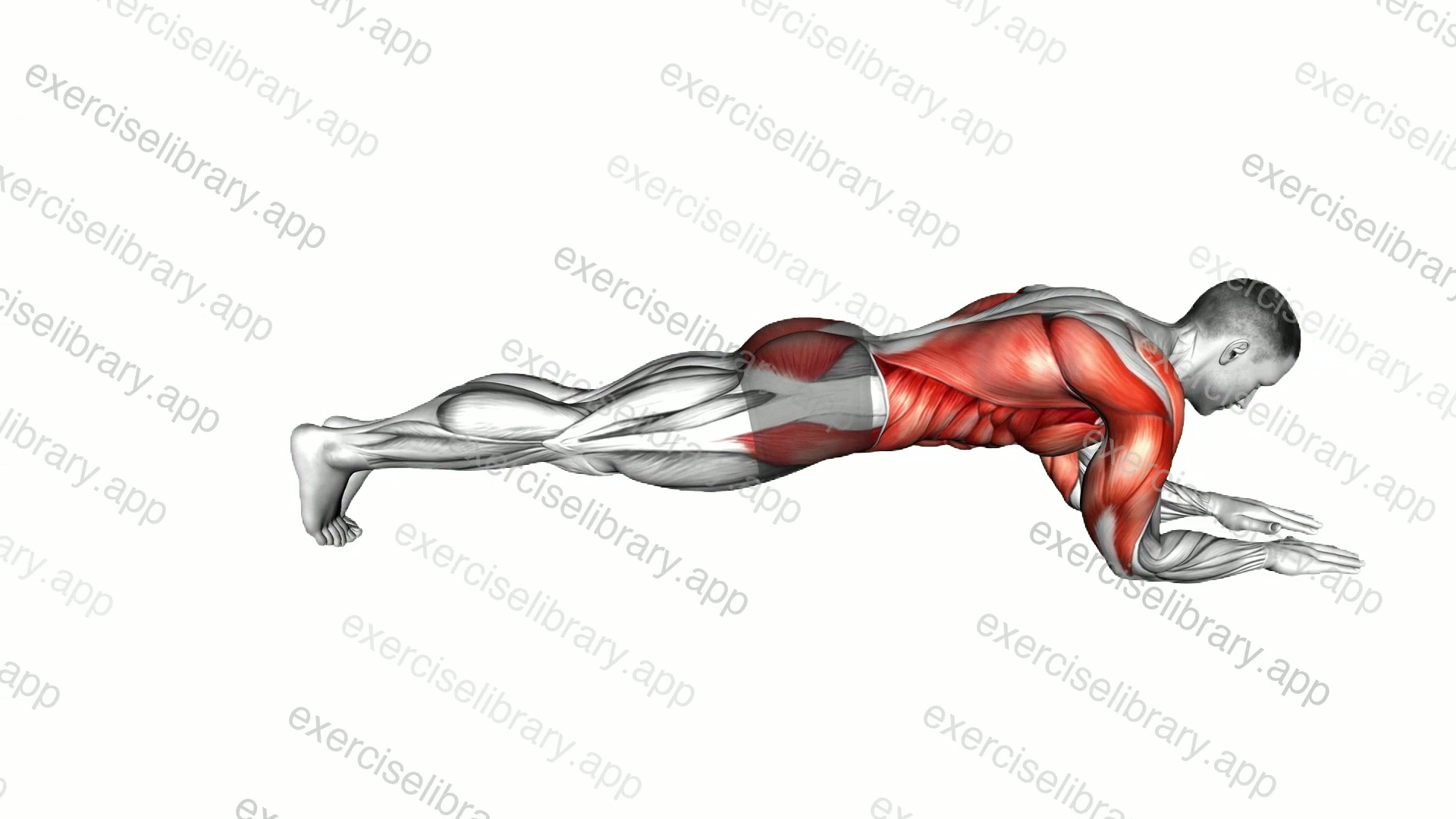 Back Steps Plank demonstration