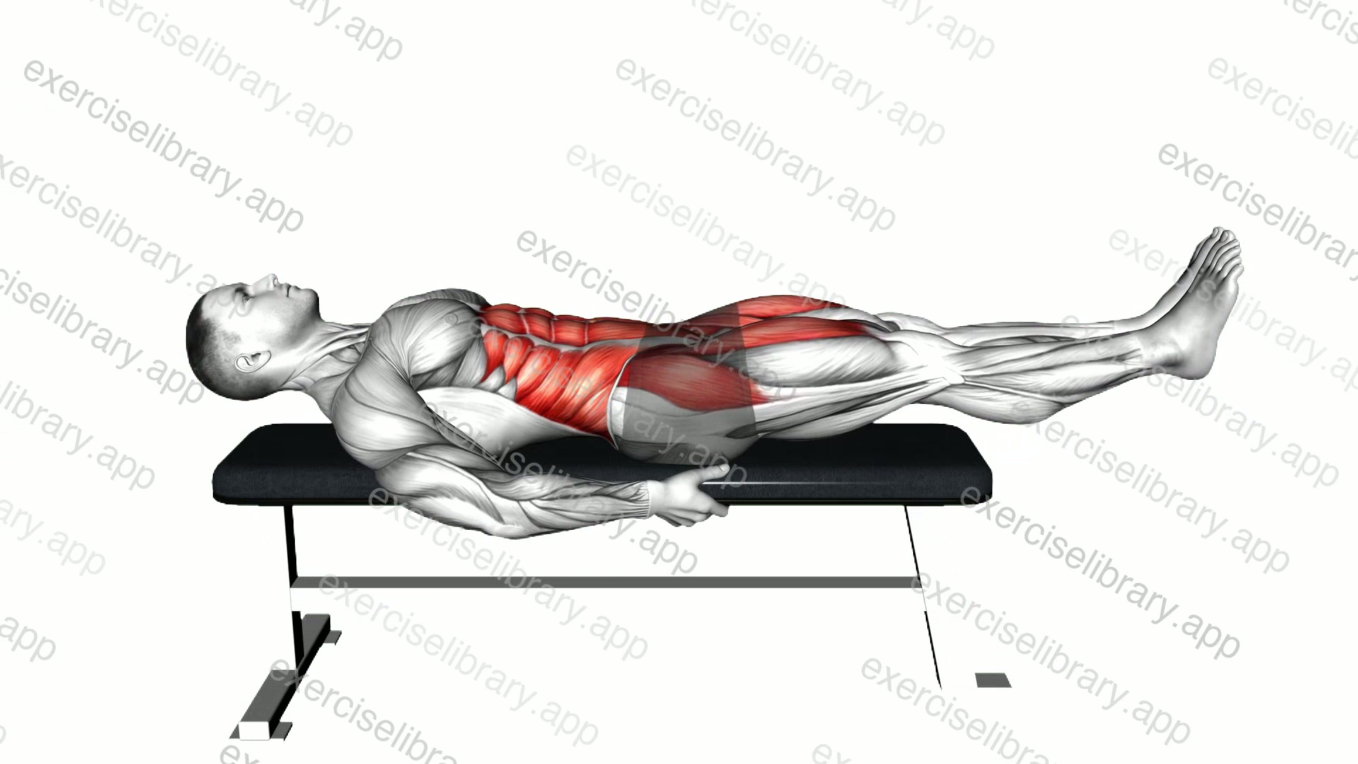 Lying 6 Inch Hold demonstration