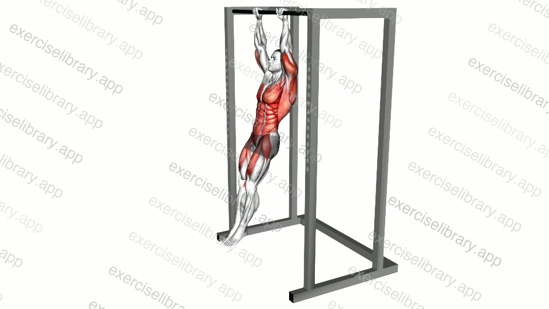Hanging Front Lever Raise demonstration