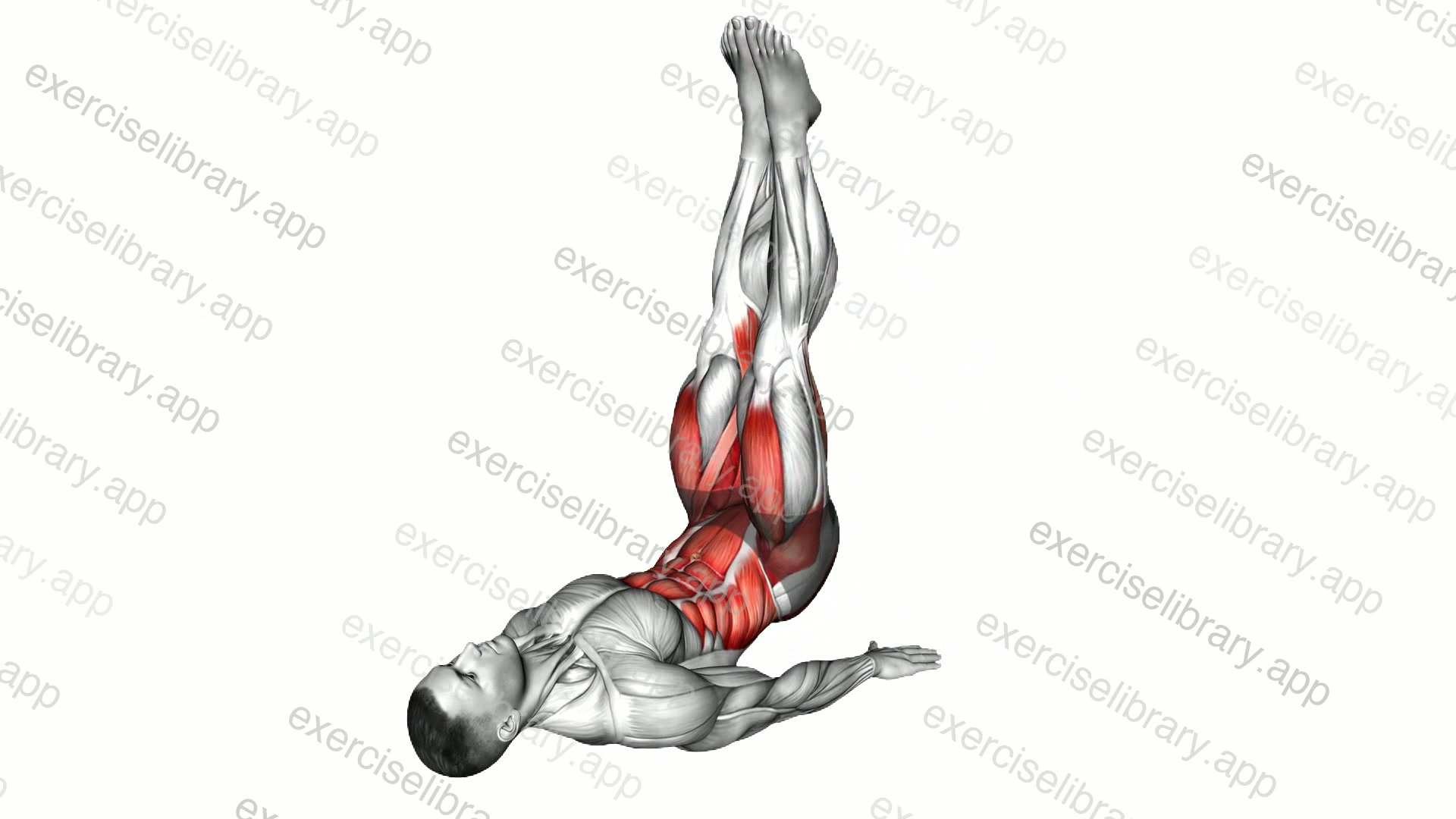 Lying Leg Circle Hip Raise demonstration
