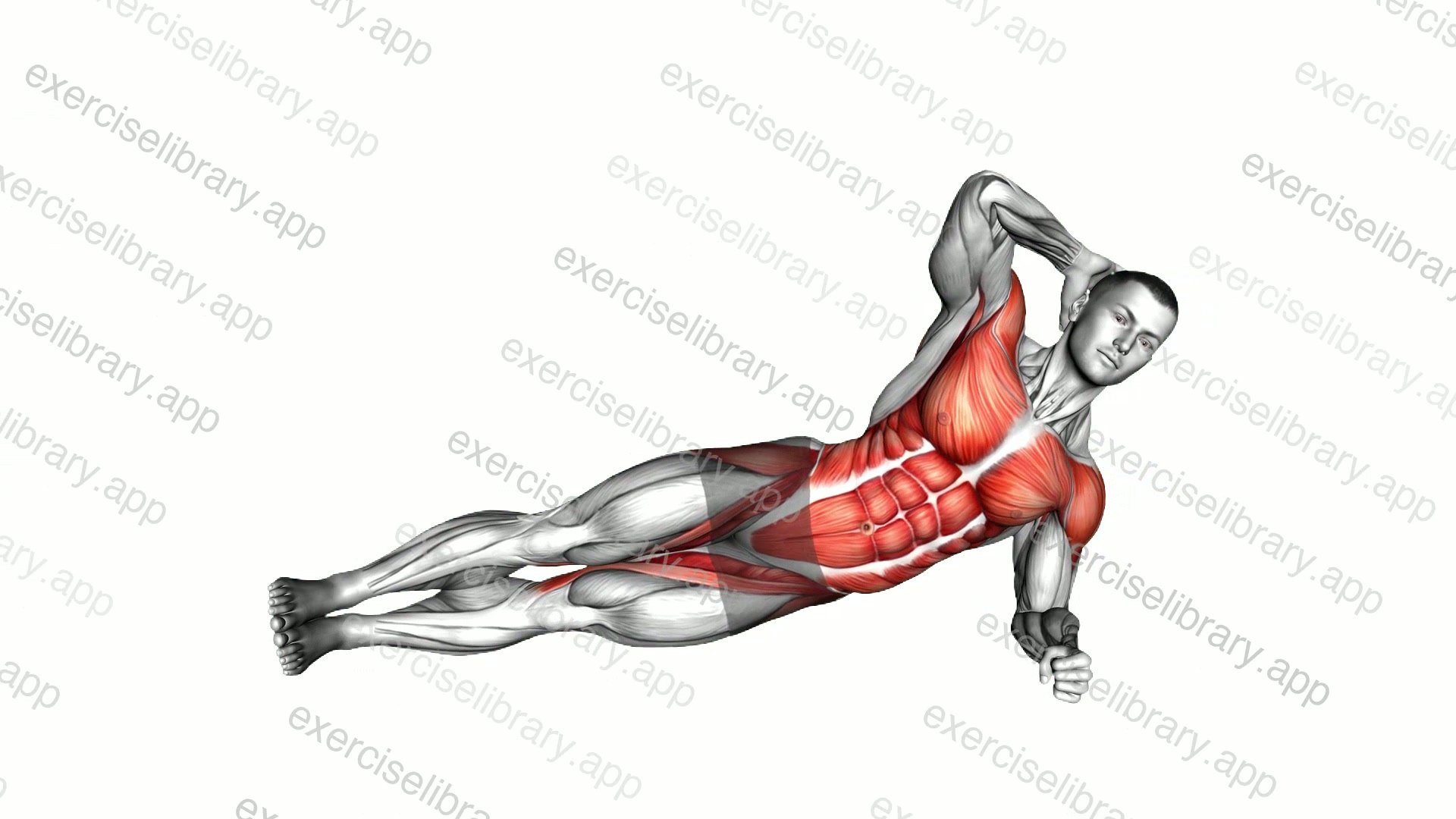 Side Plank Raise and Crunch demonstration