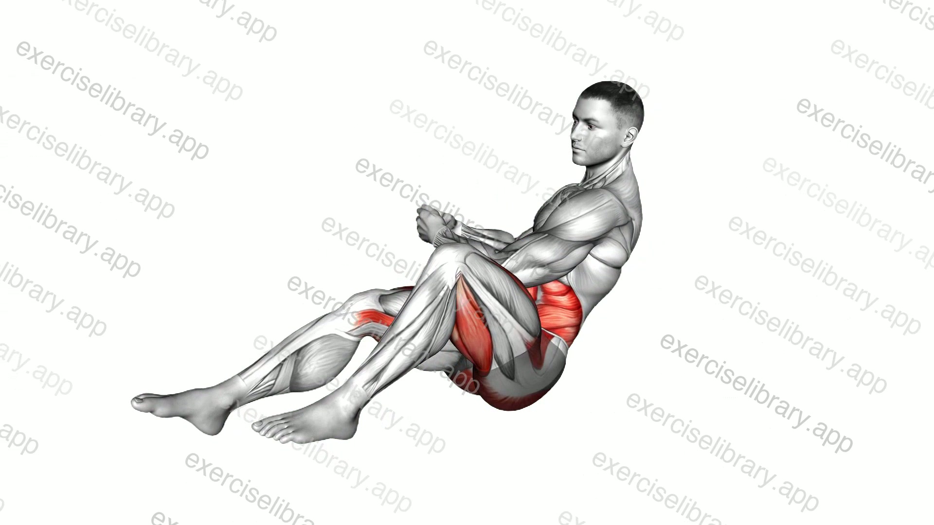 Russian Twist Plus demonstration