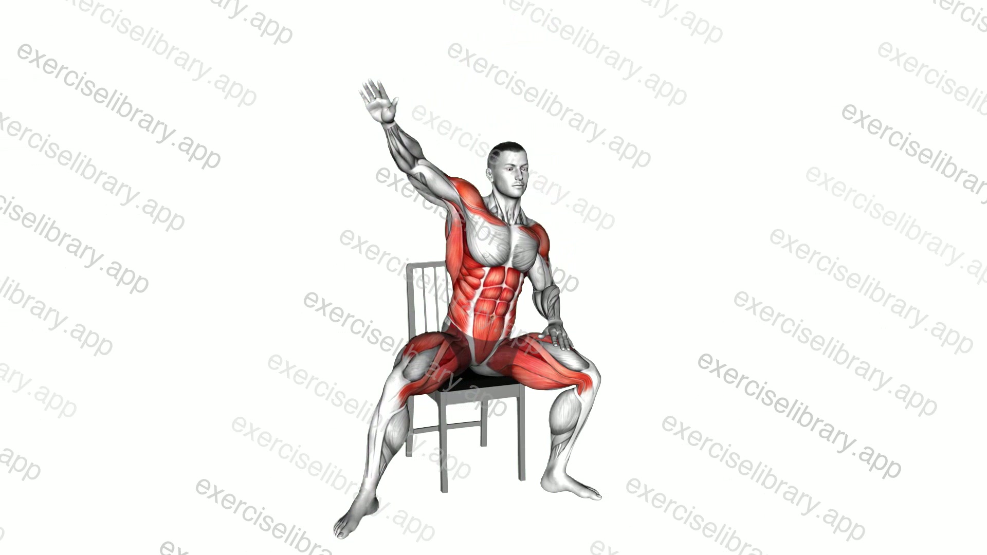 Sitting Side Step on Chair demonstration