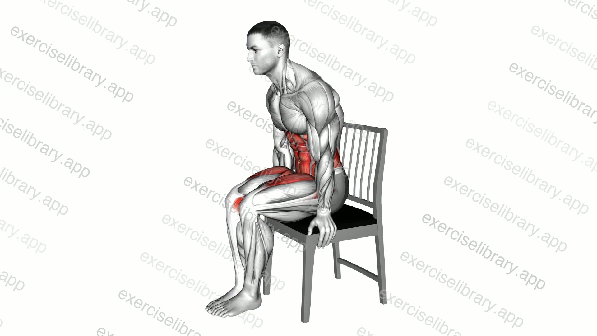 L Sit on Chair demonstration