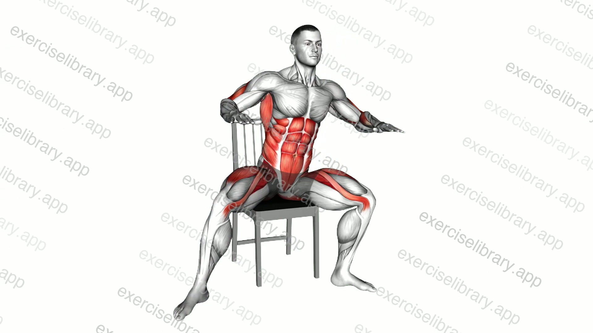 Sitting Side Step Row on Chair demonstration