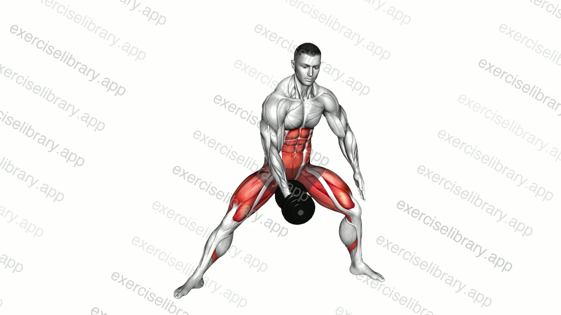 Dumbbell Change Plyo Side Lunge demonstration
