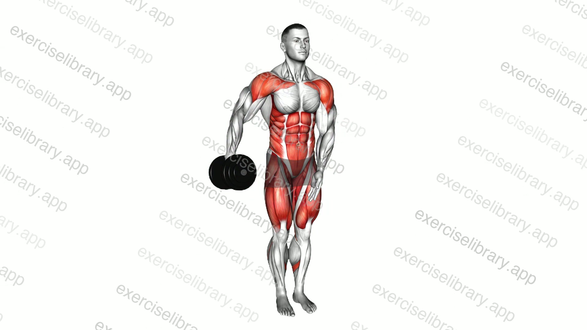 Dumbbell Change Lateral Raise Curtsey Lunge demonstration
