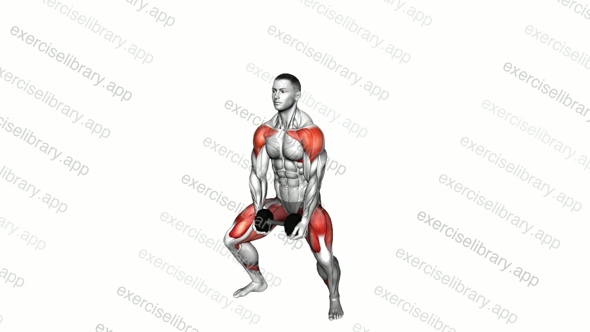 Dumbbell Sumo Squat Front Raise demonstration