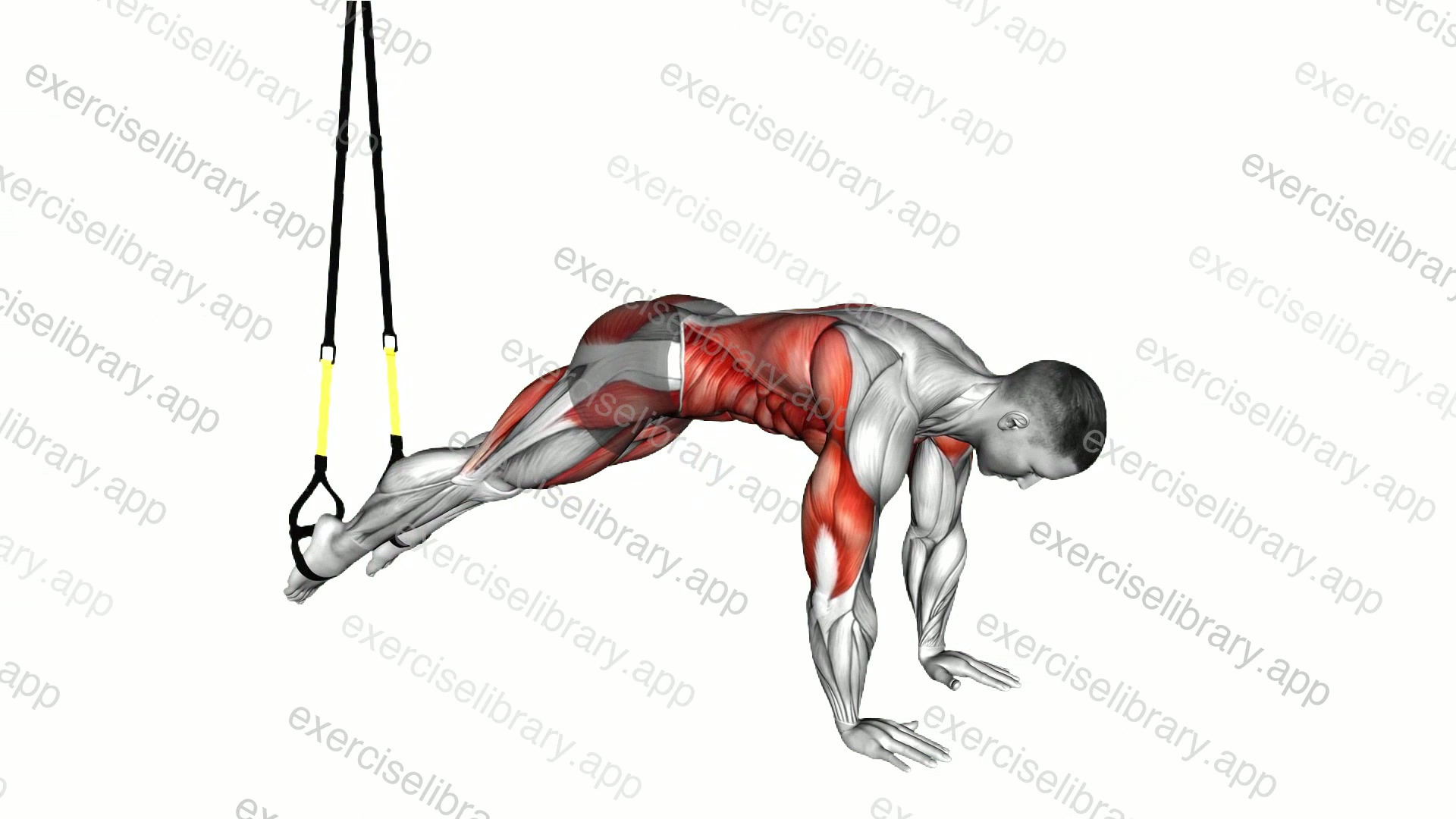 Suspender Pike demonstration