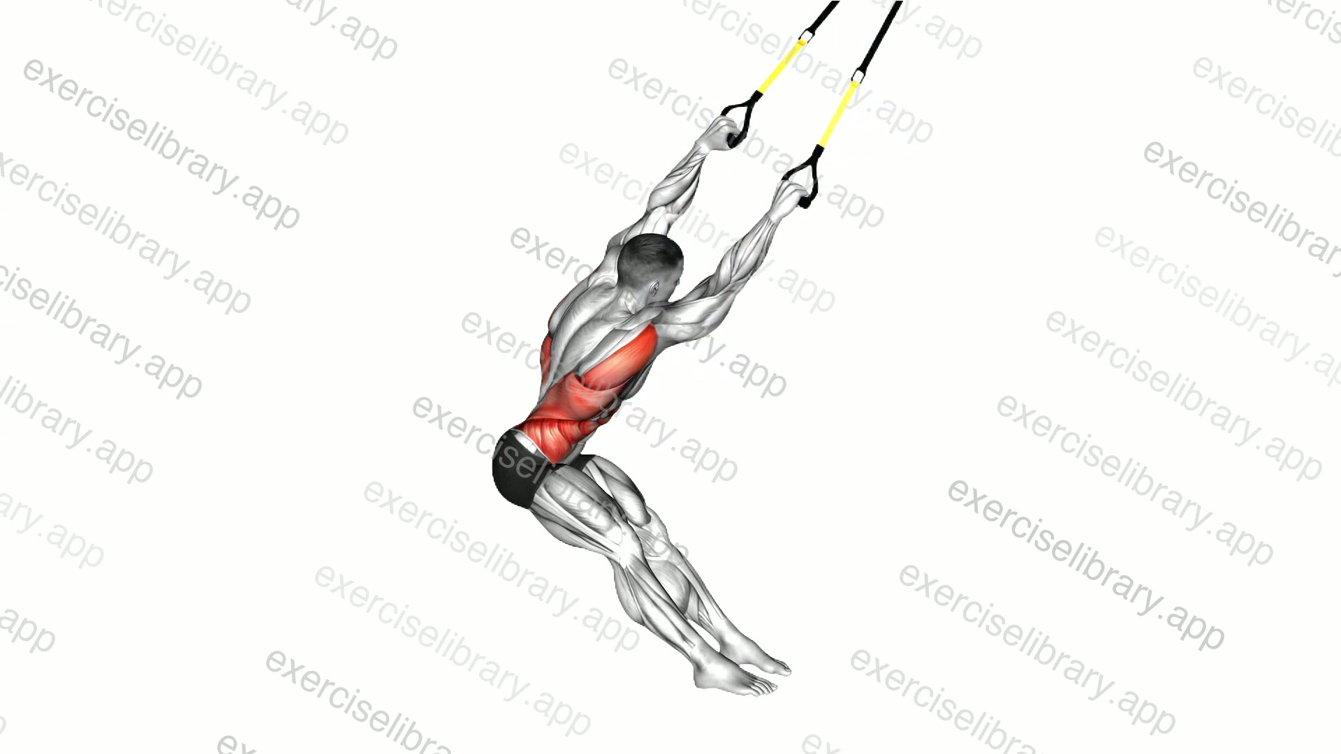 Suspender Lat Stretch demonstration