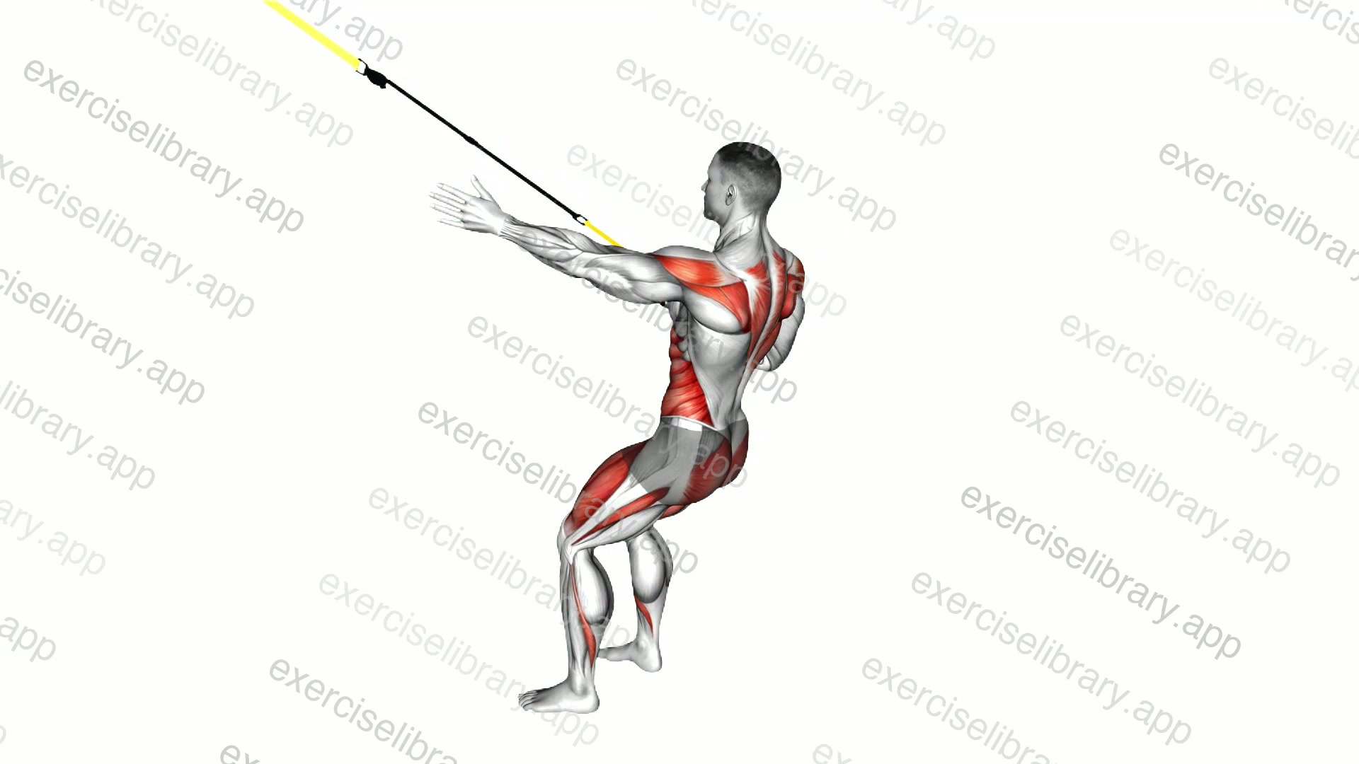 Suspender Squat Power Pull demonstration