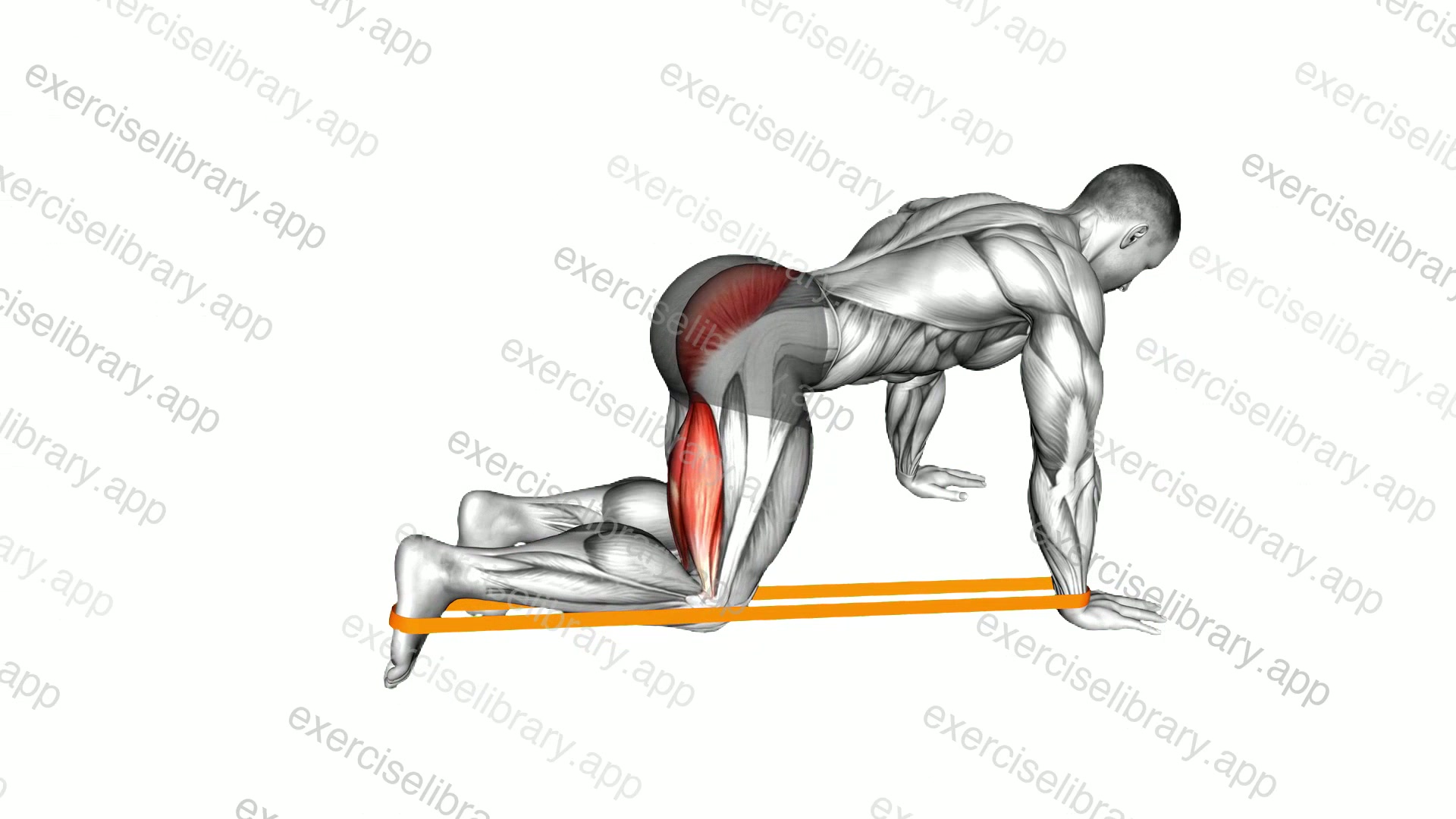 Resistance Band Leg Kickback demonstration