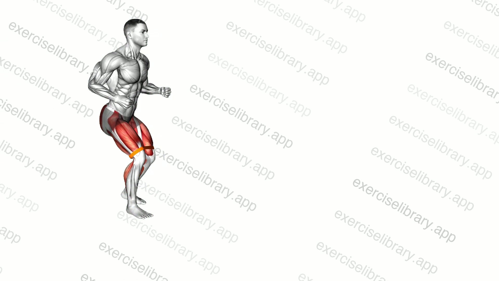 Resistance Band Walk demonstration