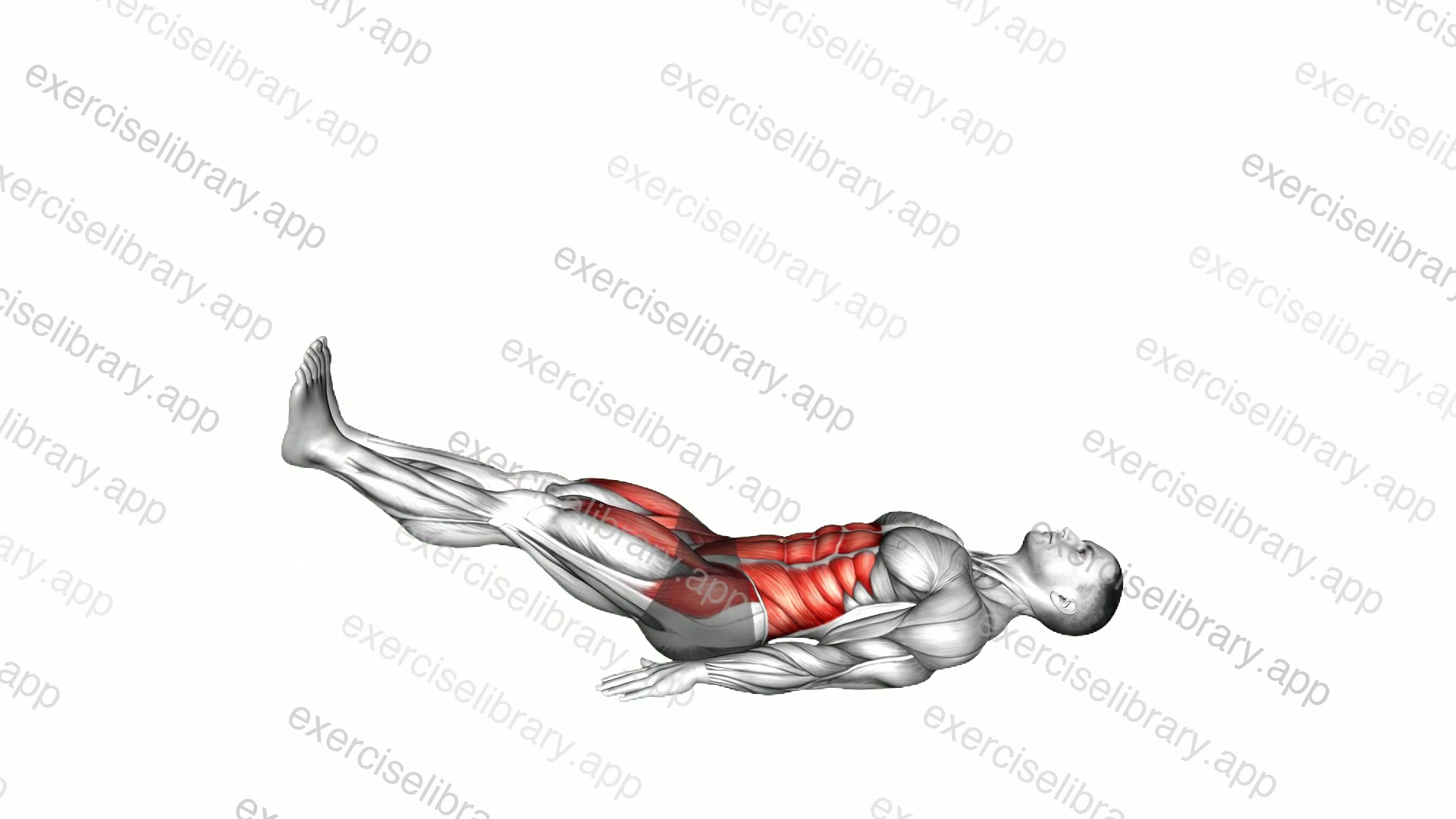 Leg Raise Hip Lift demonstration