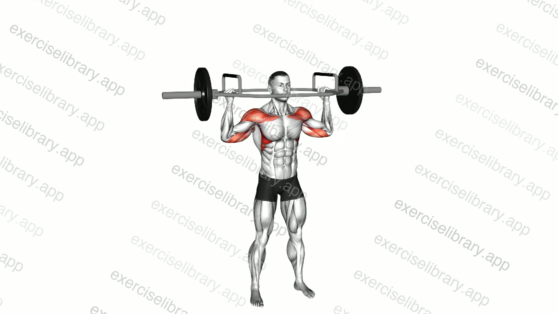Trap Bar Overhead Press demonstration