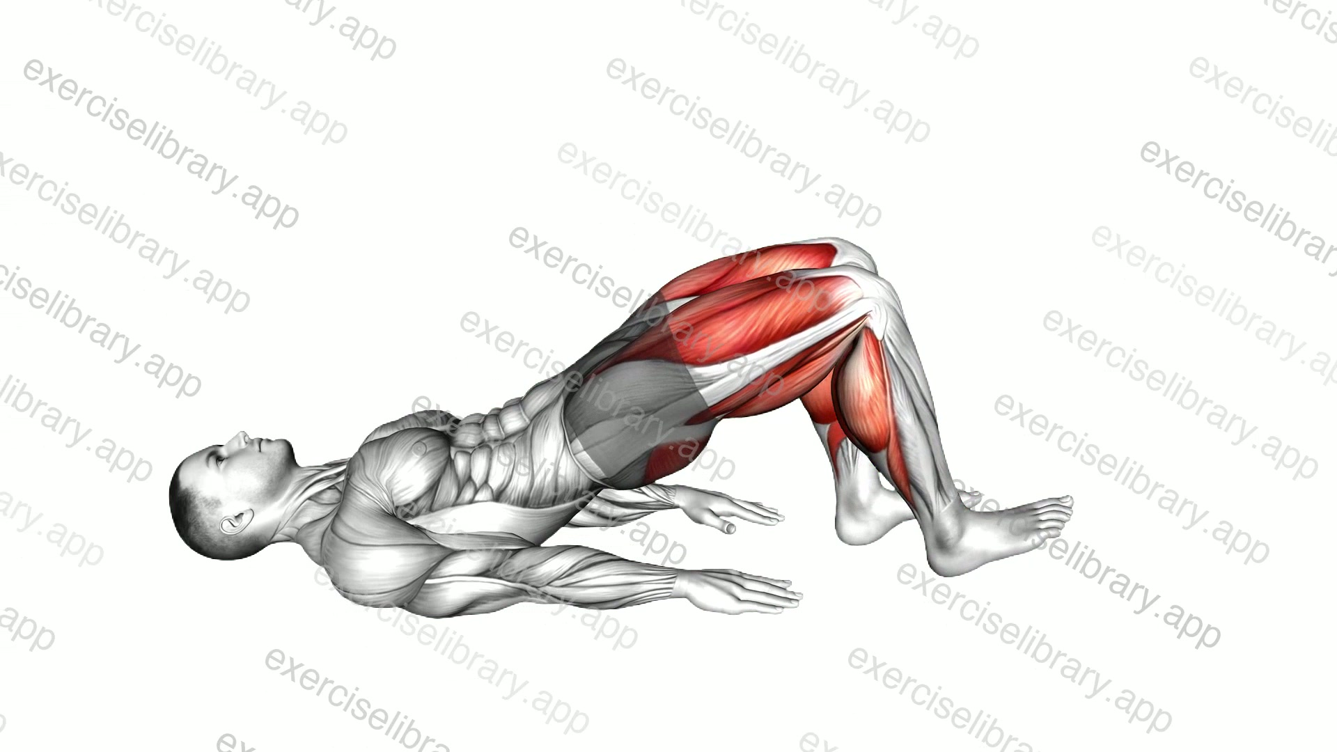 Glute Bridge Walk demonstration