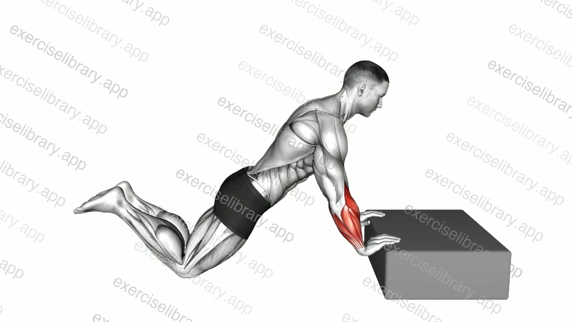 Kneeling Incline Finger Press demonstration