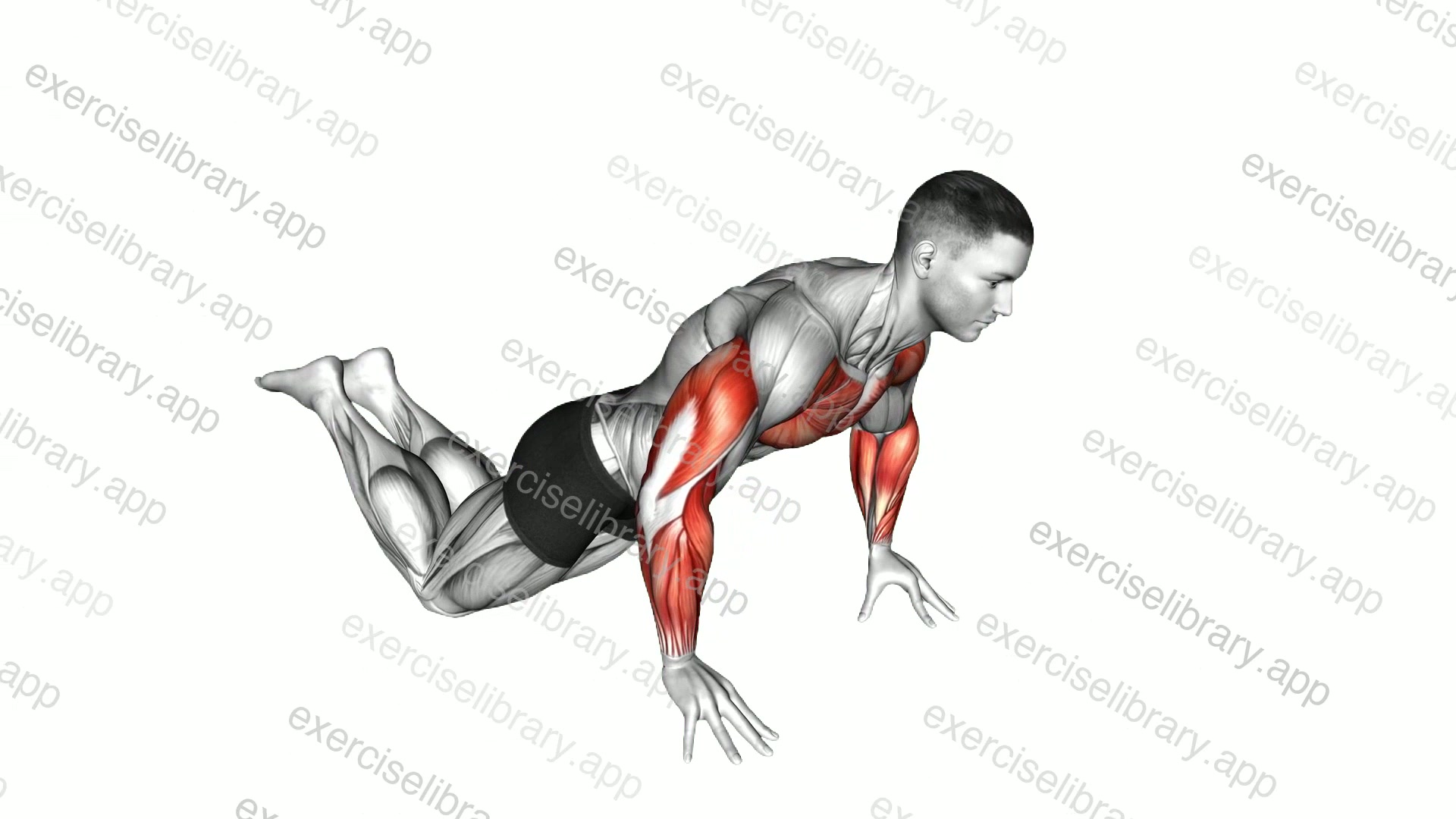 Kneeling Finger Push-up demonstration