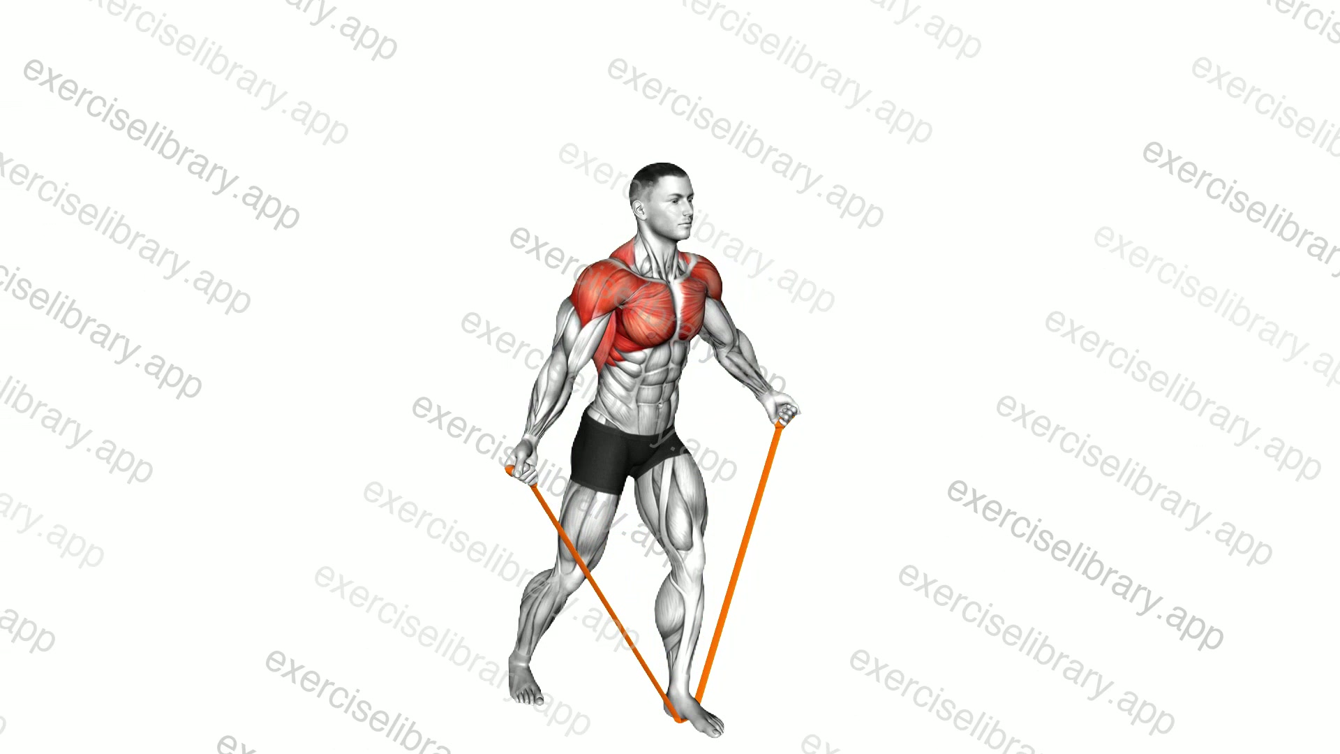 Resistance Band Standing Around the World demonstration