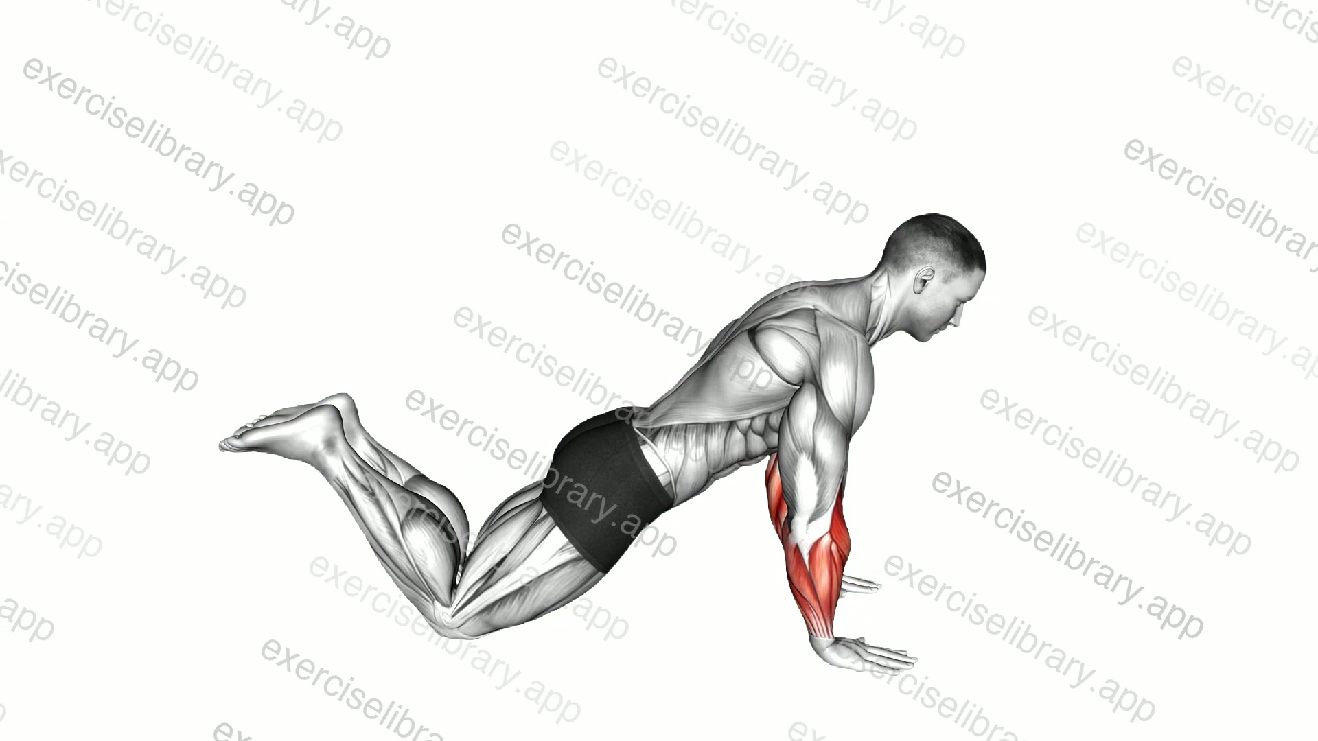 Kneeling Finger Press demonstration