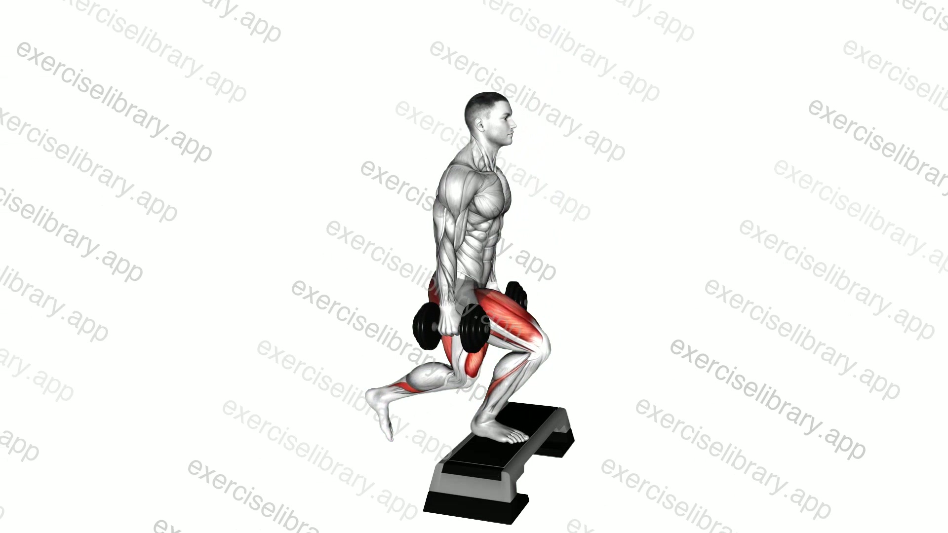 Dumbbell Reverse Lunge from Deficit demonstration